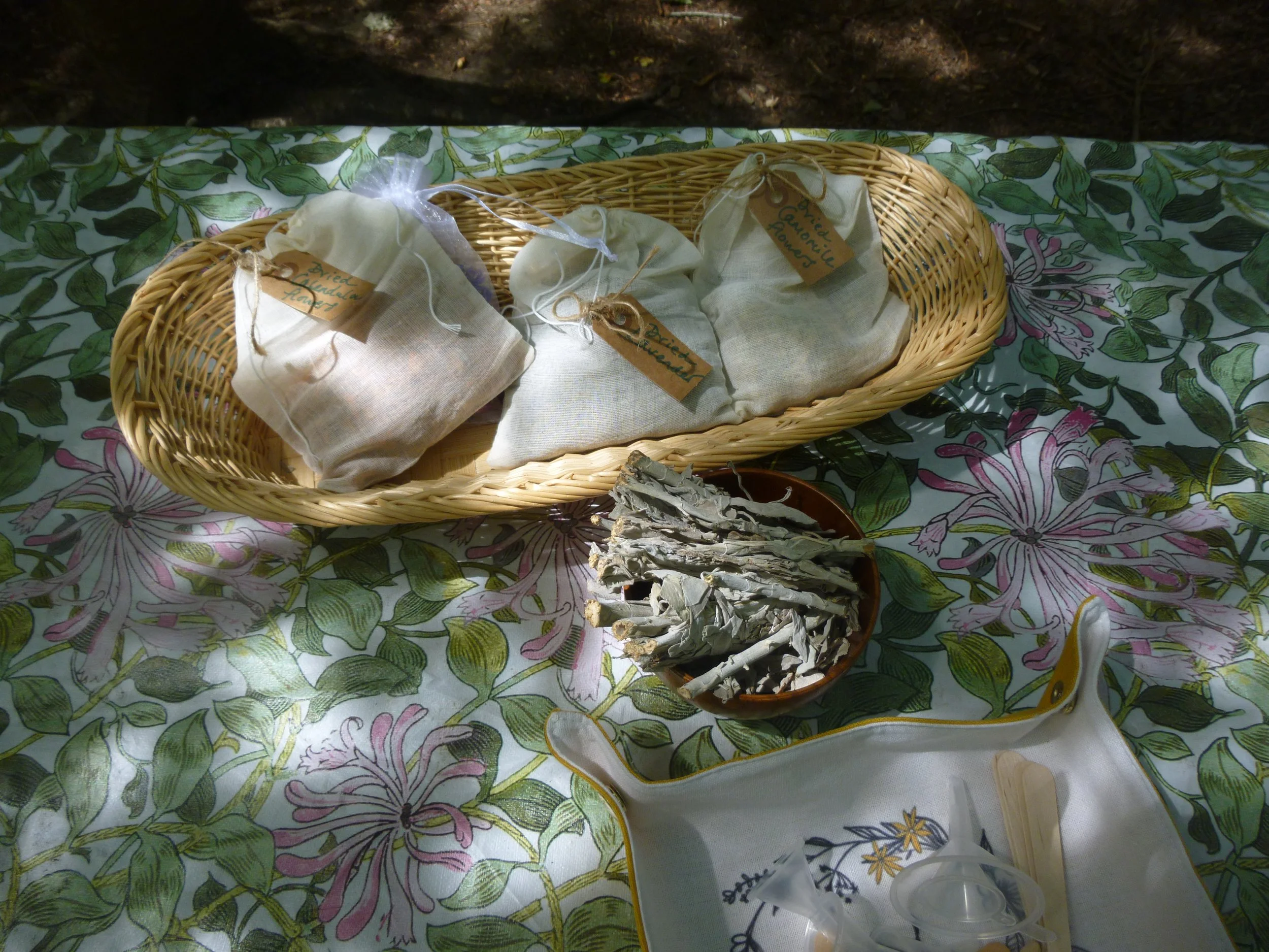 wild wisdom at land and leaf botanicals