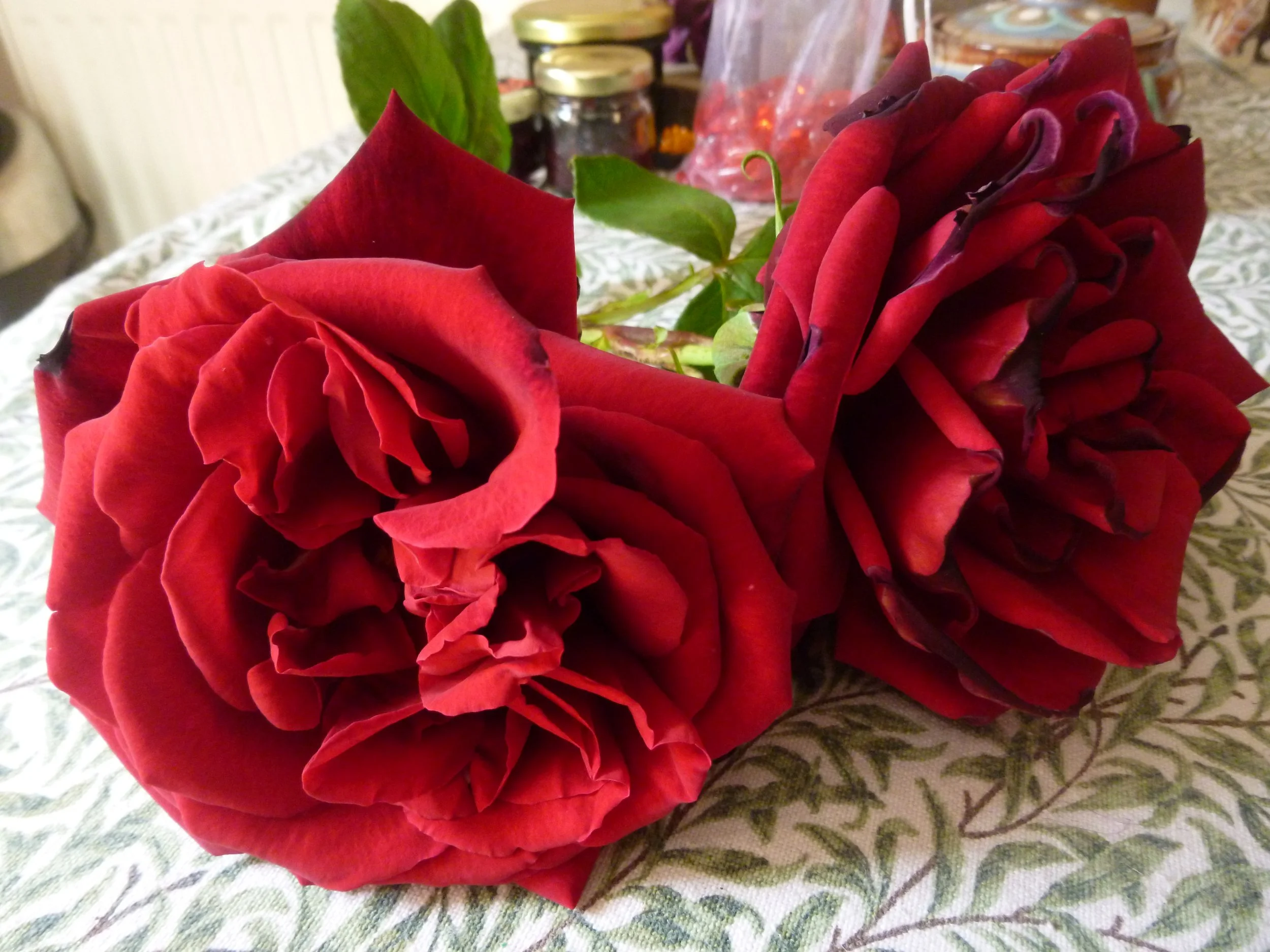 Home grown roses for balm