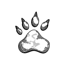 A white fox paw print image