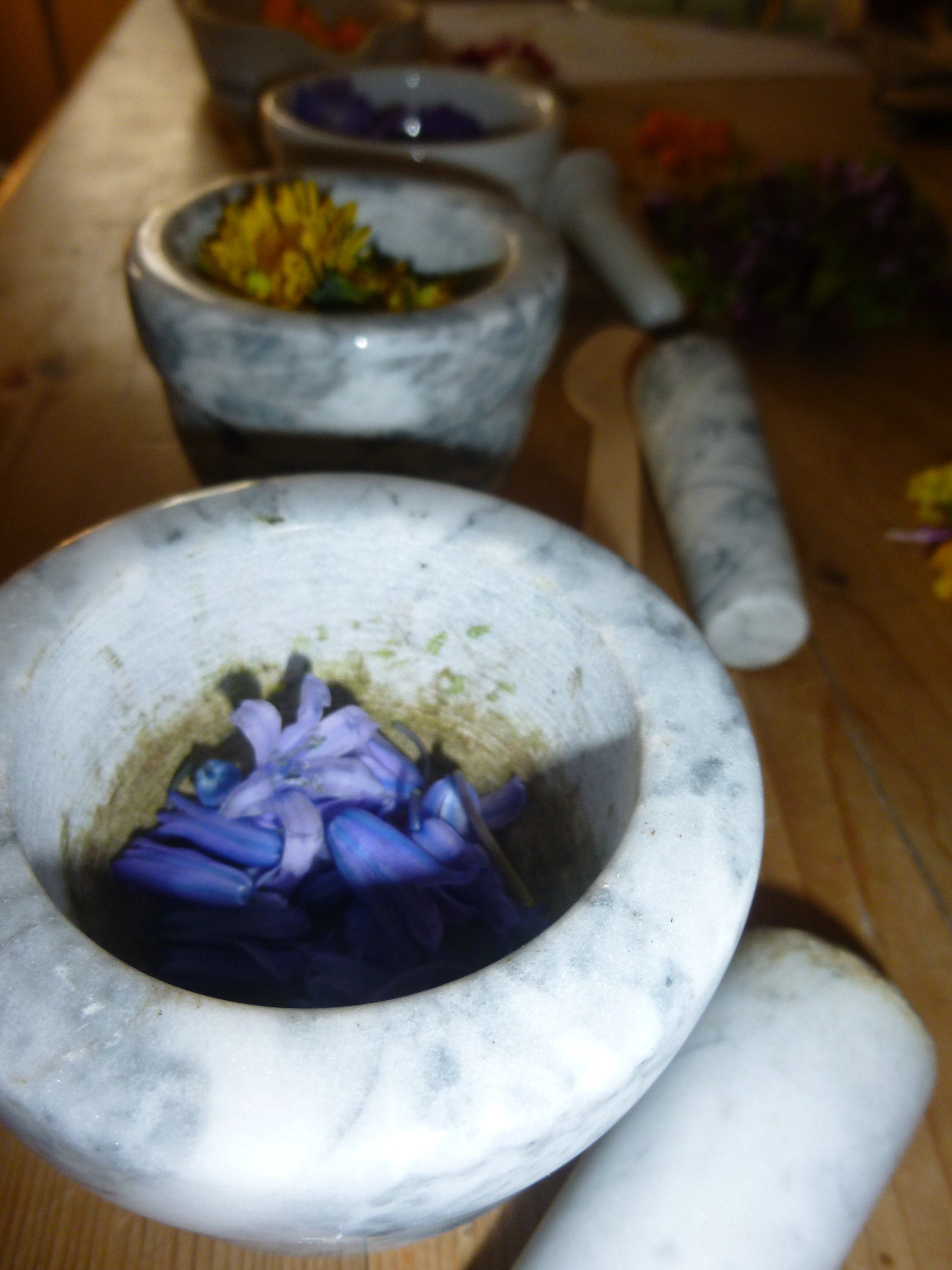 Close-up of a mortar filled with purple flower petals, with other similar mortars and flower petals on a wooden table. Herbalism. Apothecary. Herbarium. 