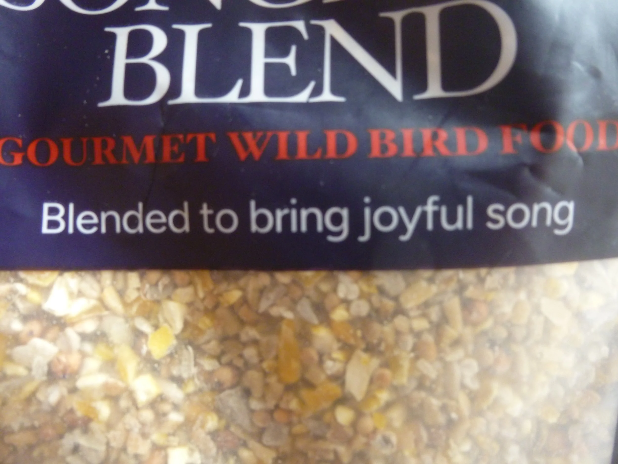 joyful song bird food