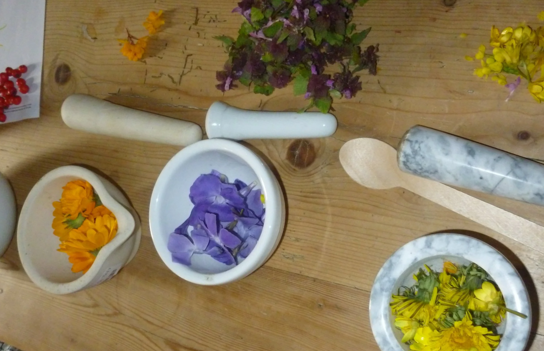 A wooden table with flowers in small bowls mortars and pestles, including purple, yellow, and orange flowers, camomile, lavender, dandelion and a wooden spoon.