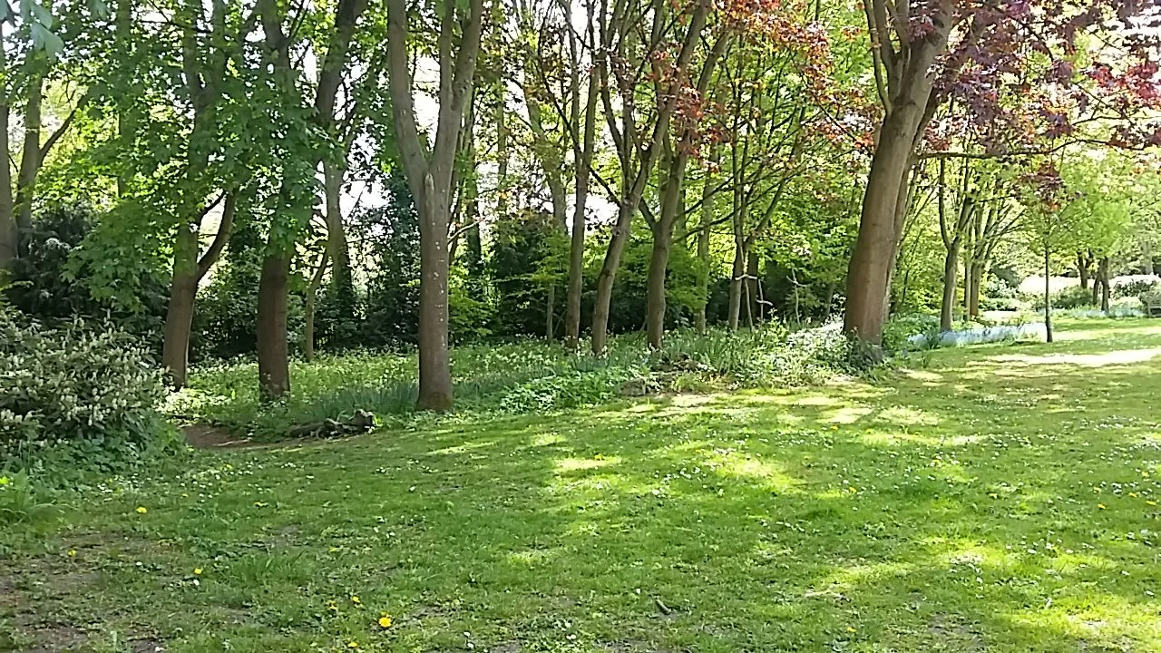Archbishop's palace gardens with green grass, trees, and bushes, with sunlight creating dappled shadows on the ground. Southwell Minster. Nottinghamshire. Church. 