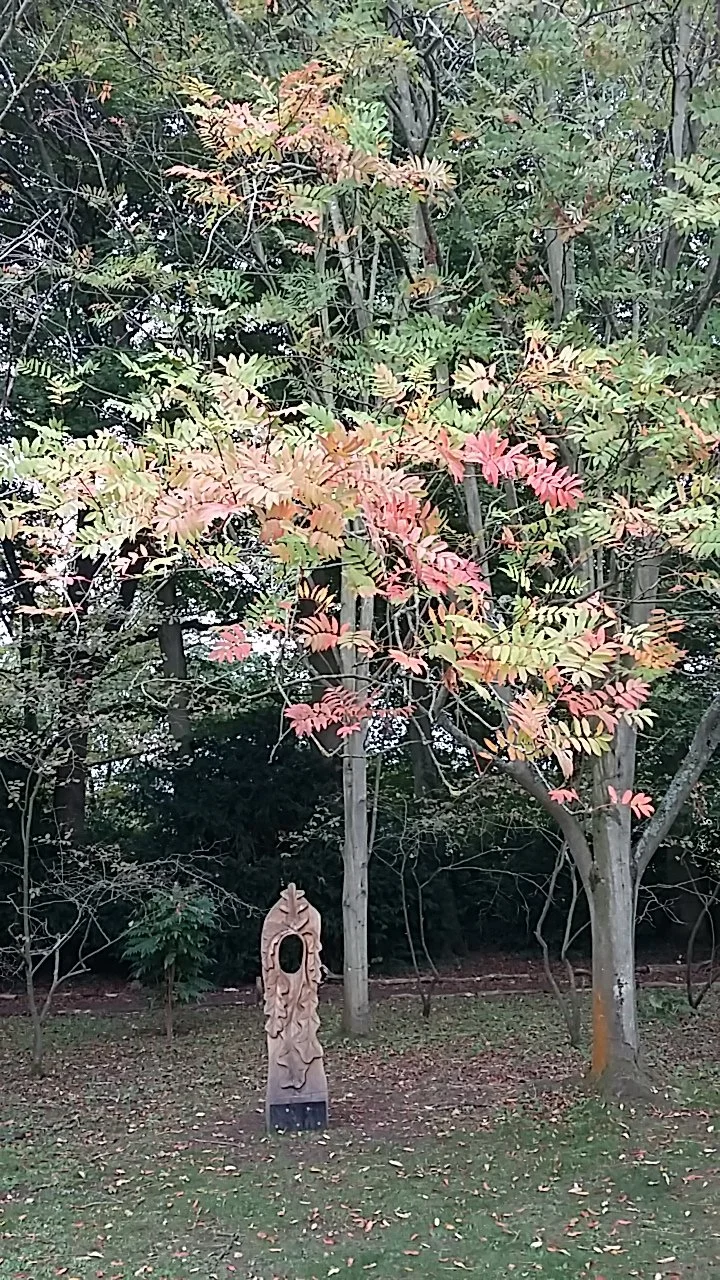 A garden scene with green man carving trees, some with pink autumnal-coloured leaves and a carved wooden sculpture standing on the grass.