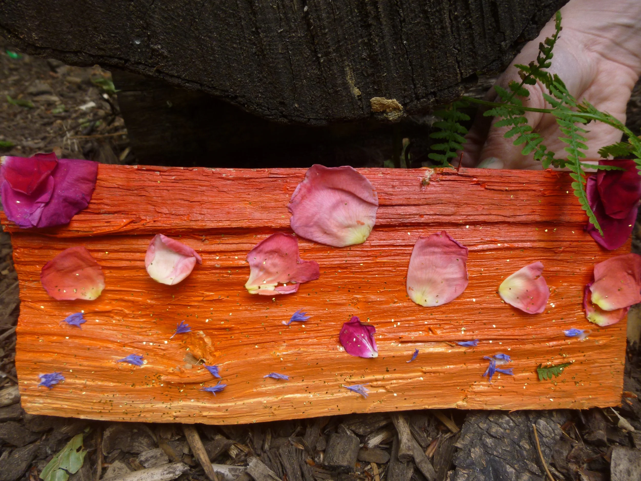 Sunrise log for fairies