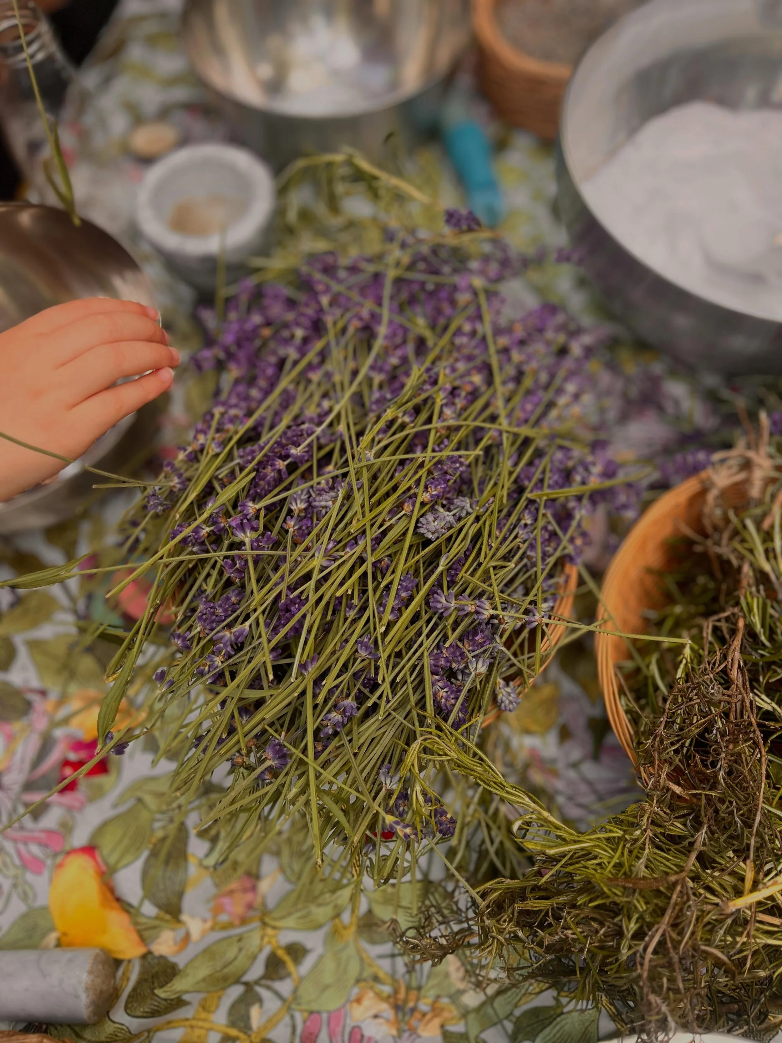 Lavender at Land and Leaf session