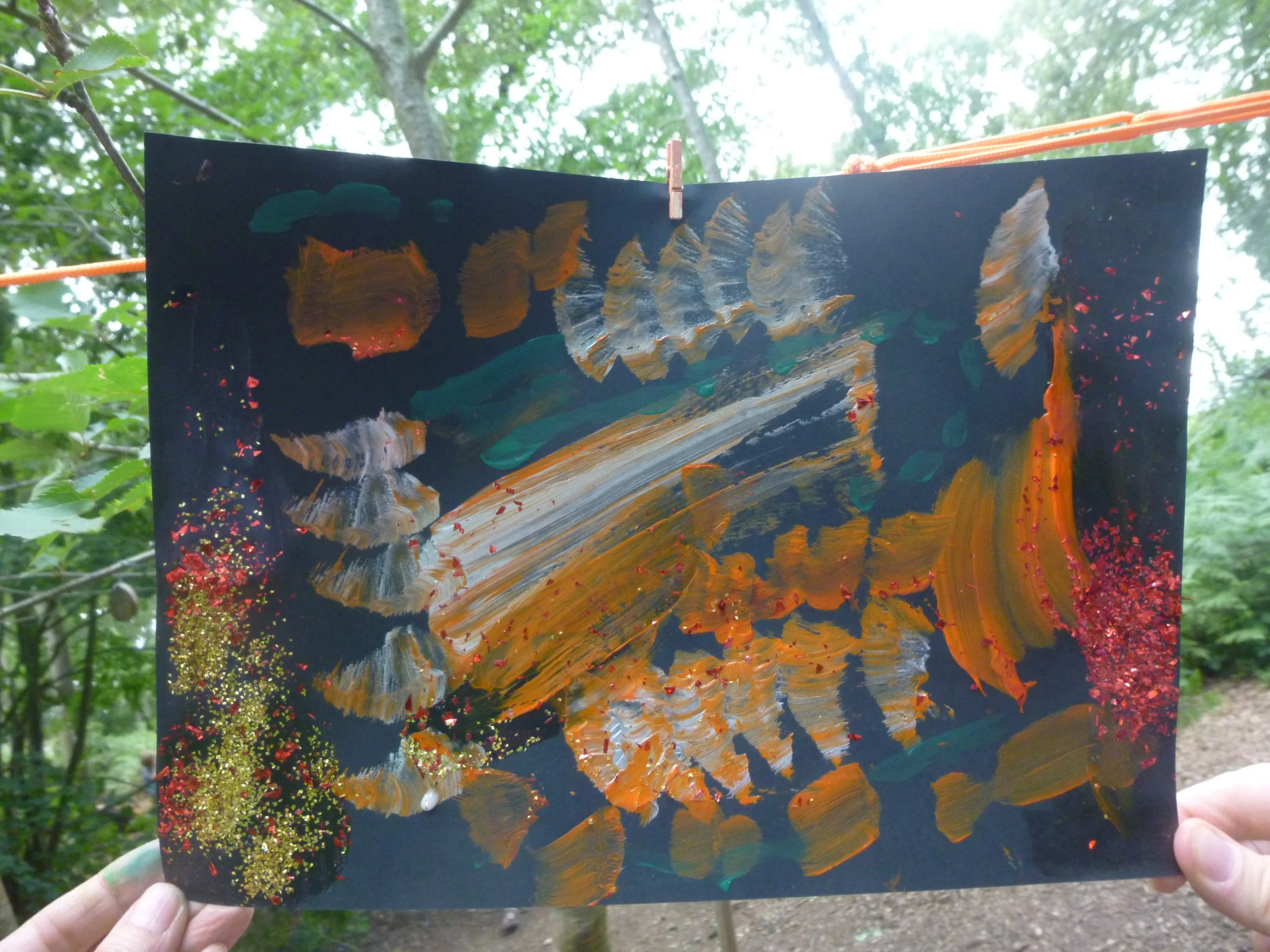 forest firework sunbeam
