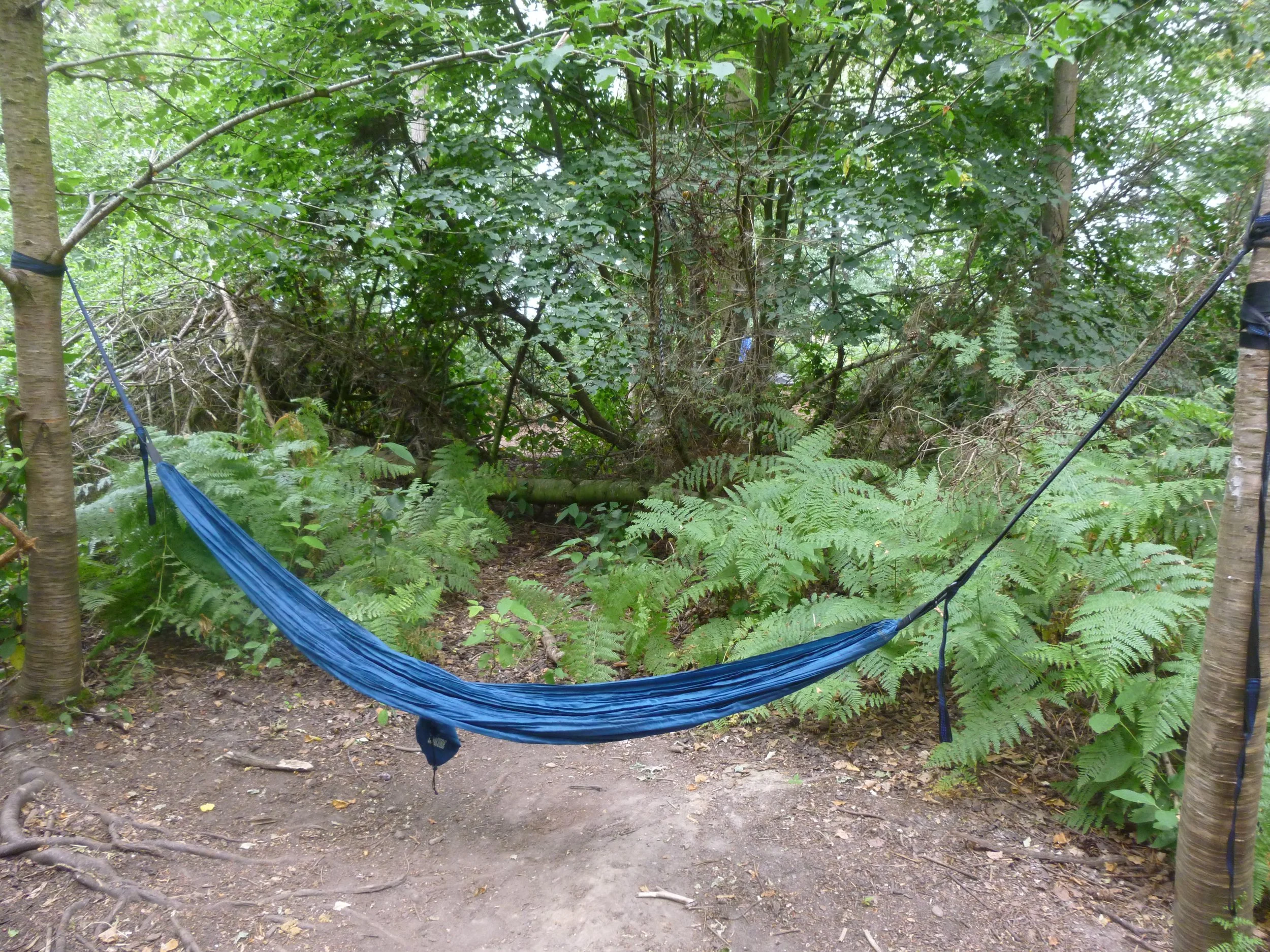 Hammock invitation