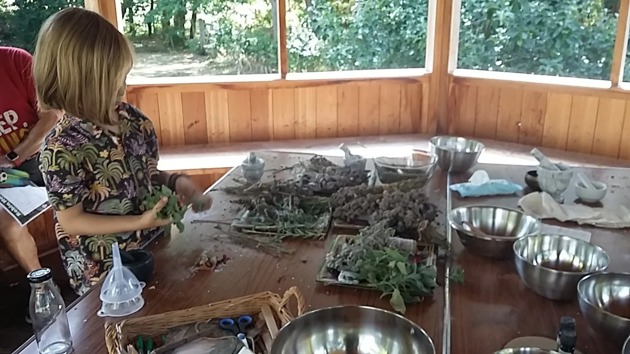 A young boy in a floral shirt and a woman are preparing herbs and plants at a wooden table inside a screened porch with forest view outside. gazebo. octagon. hut