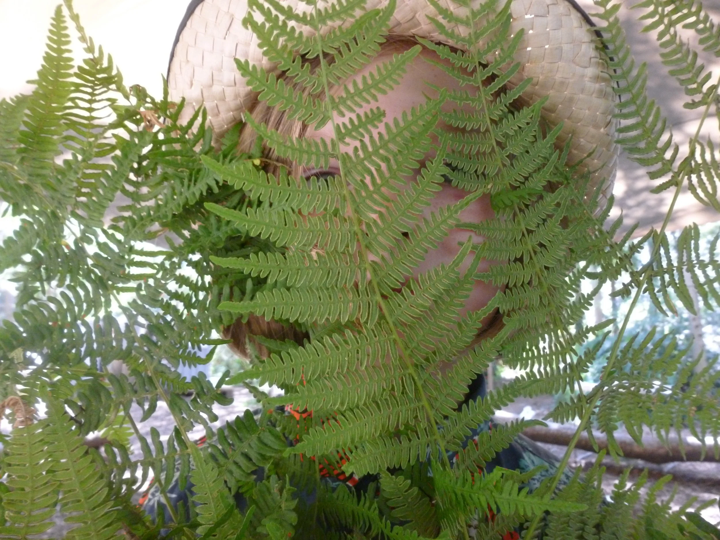 bracken boy green man