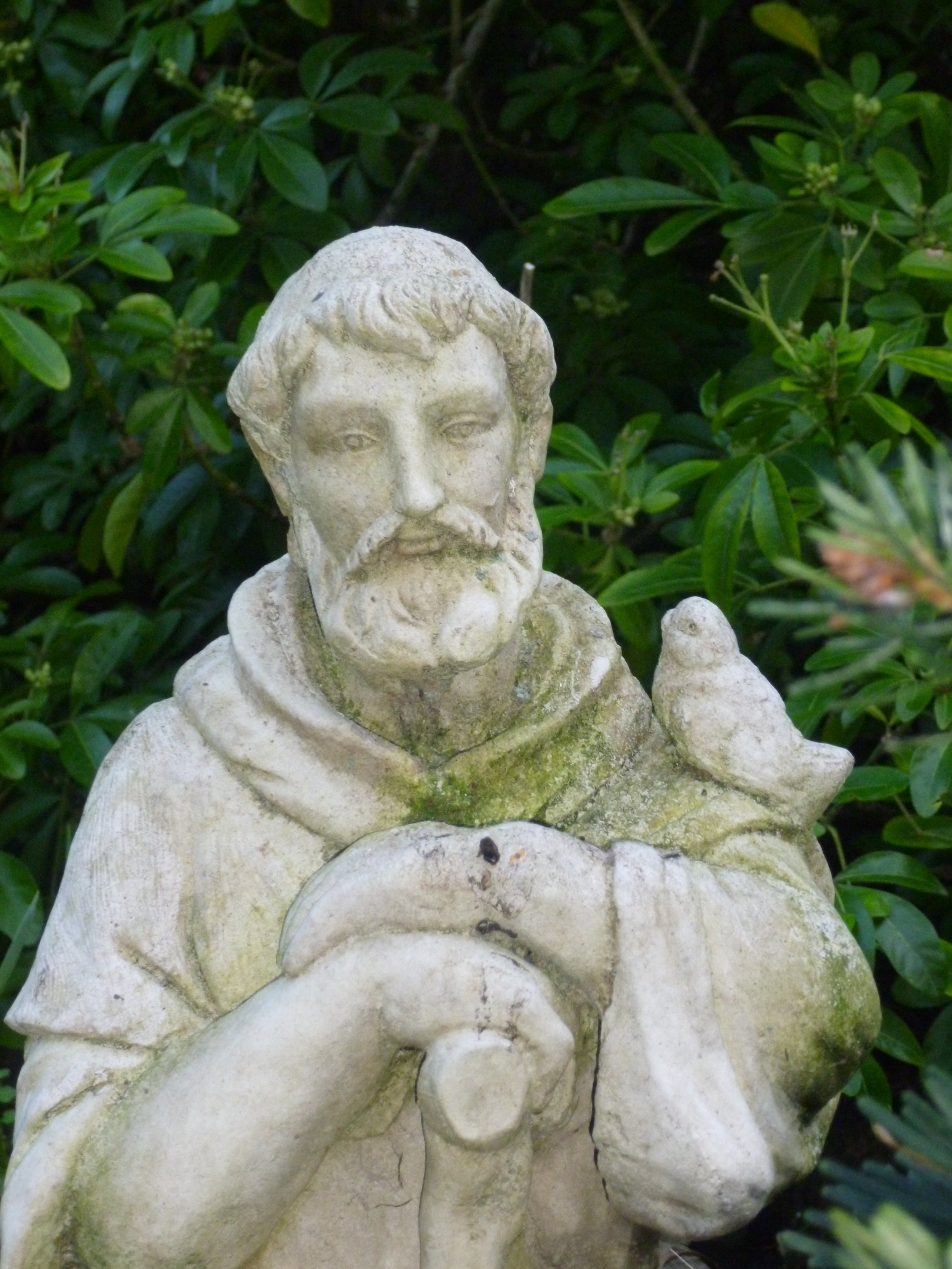 Stone garden statue of St Francis of Assisi, with a beard, holding a staff or a stick, dressed in robes, surrounded by green foliage.