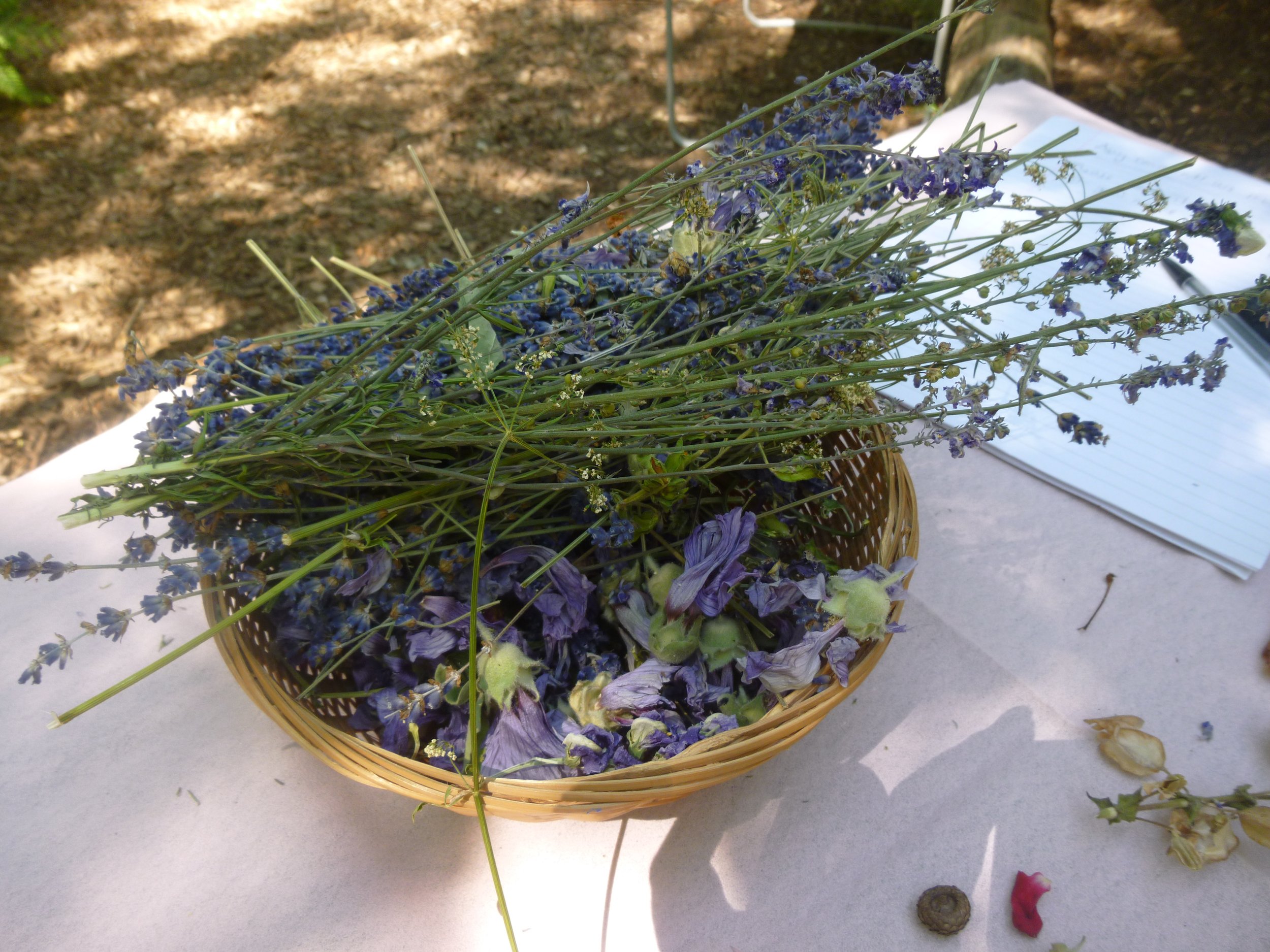 lavender and sweet peas