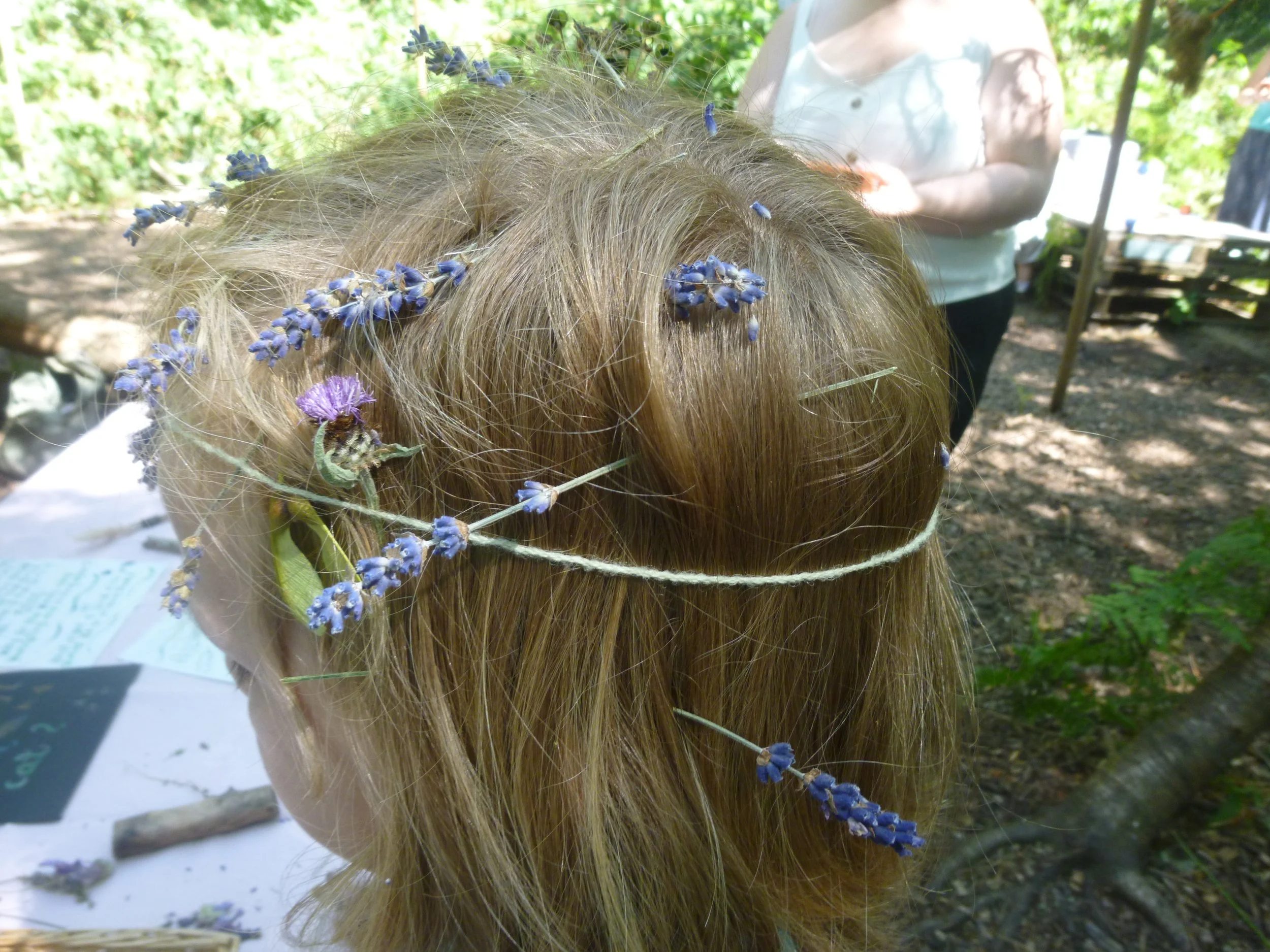 lavender crown
