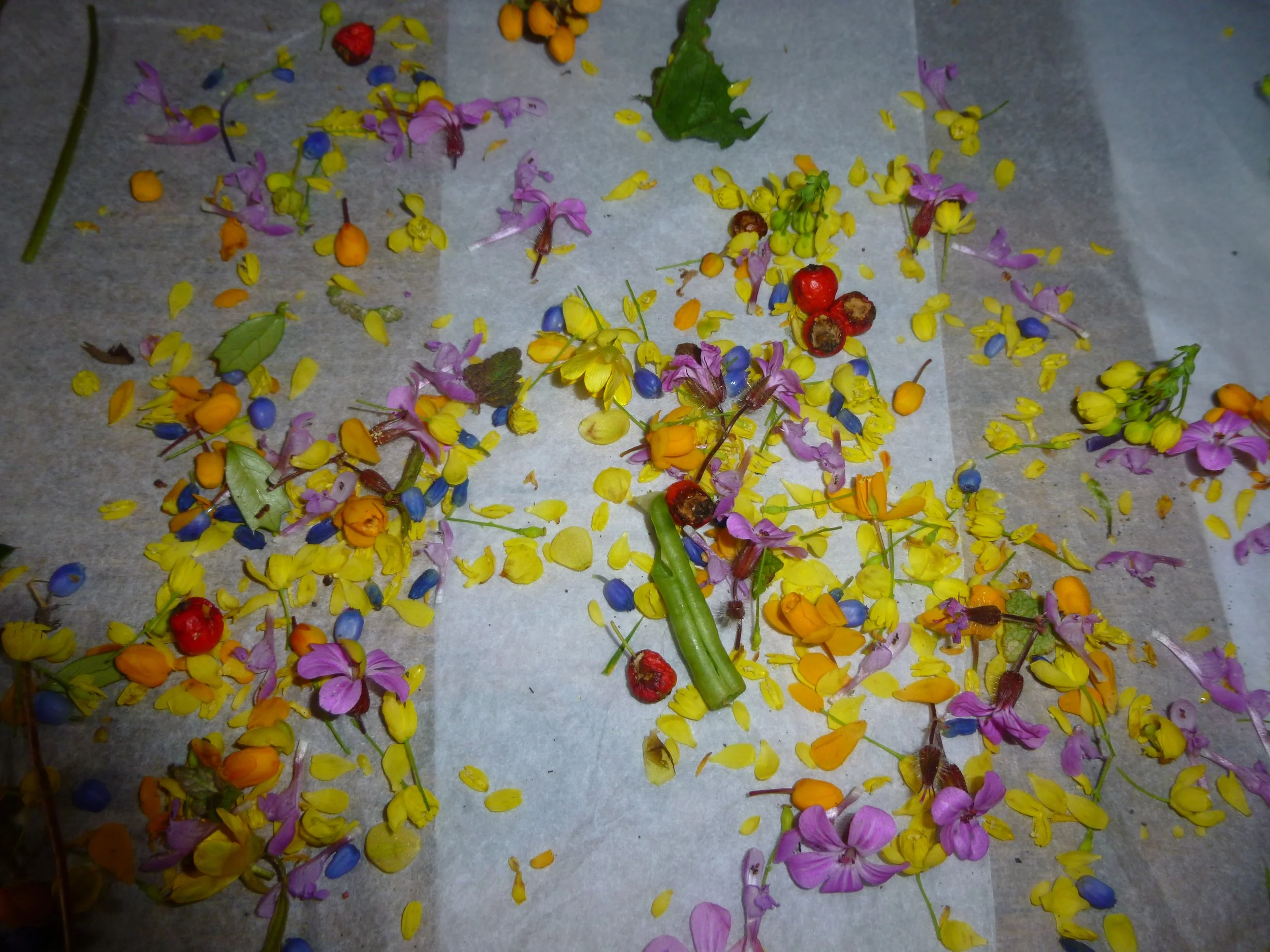 Petal power