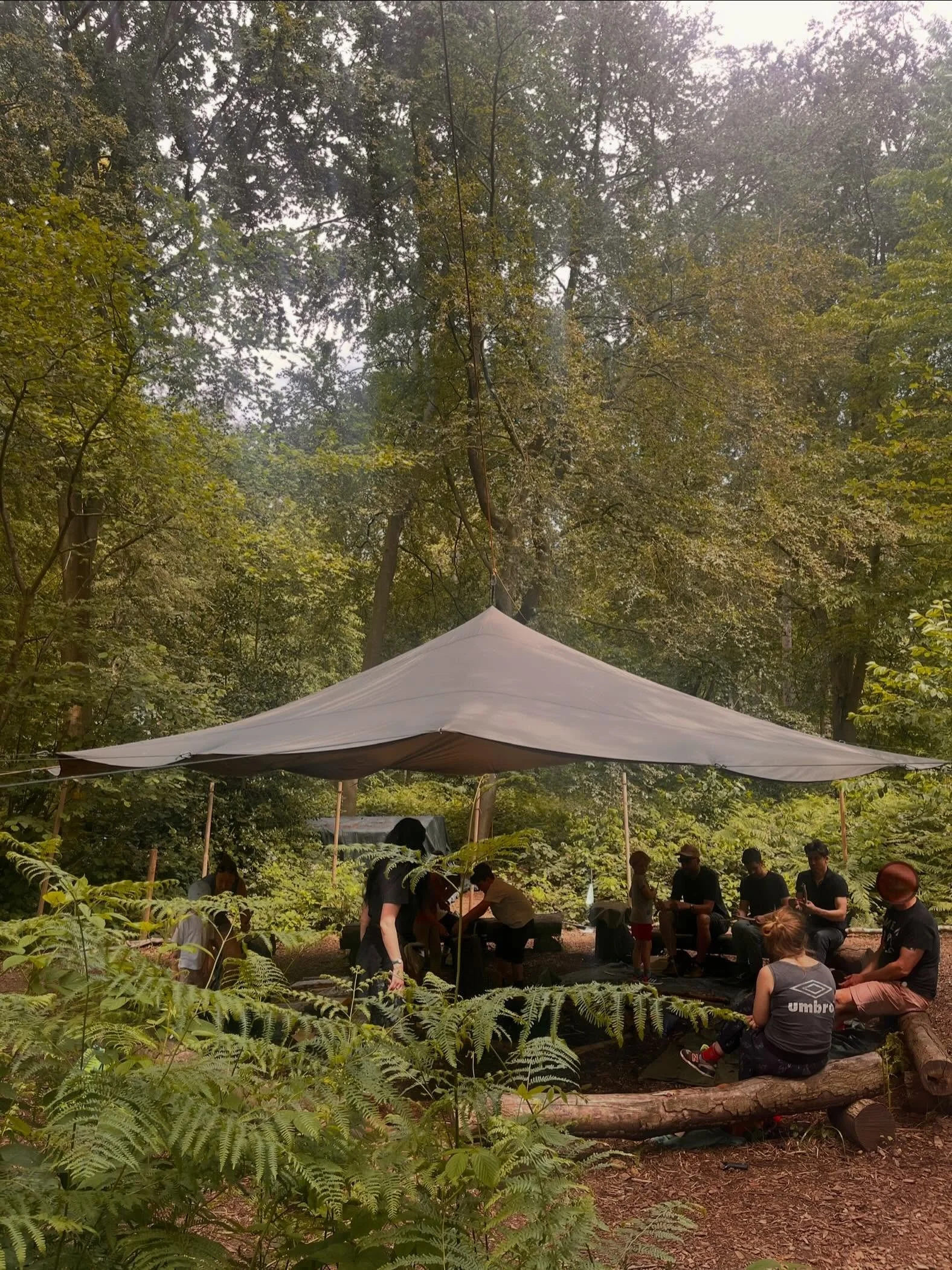 Wild Wisdom Forest woodcraft at land and leaf
