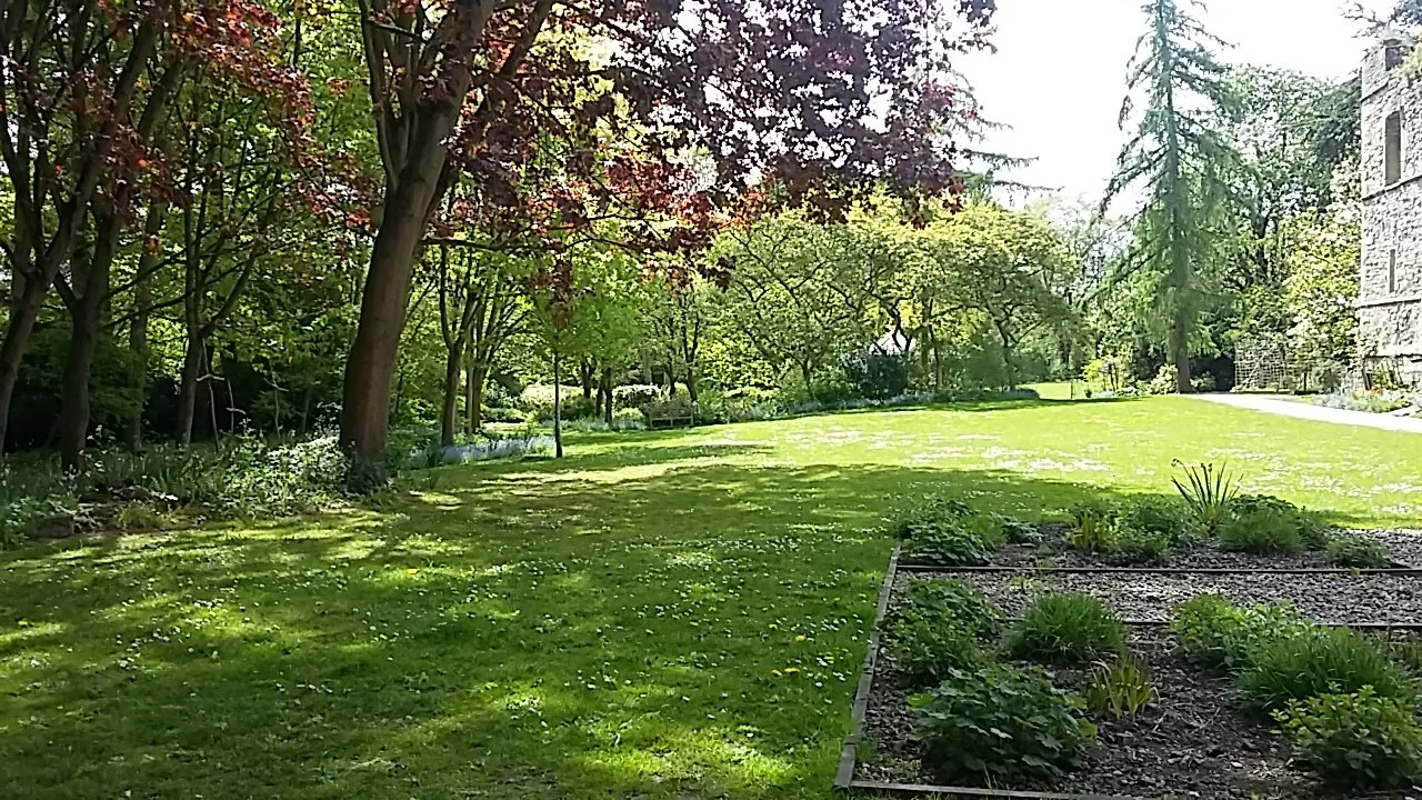 A lush, green garden Southwell minster with a well-maintained lawn, trees, and shrubs, with a small section of raised garden beds filled with various herbs plants.
