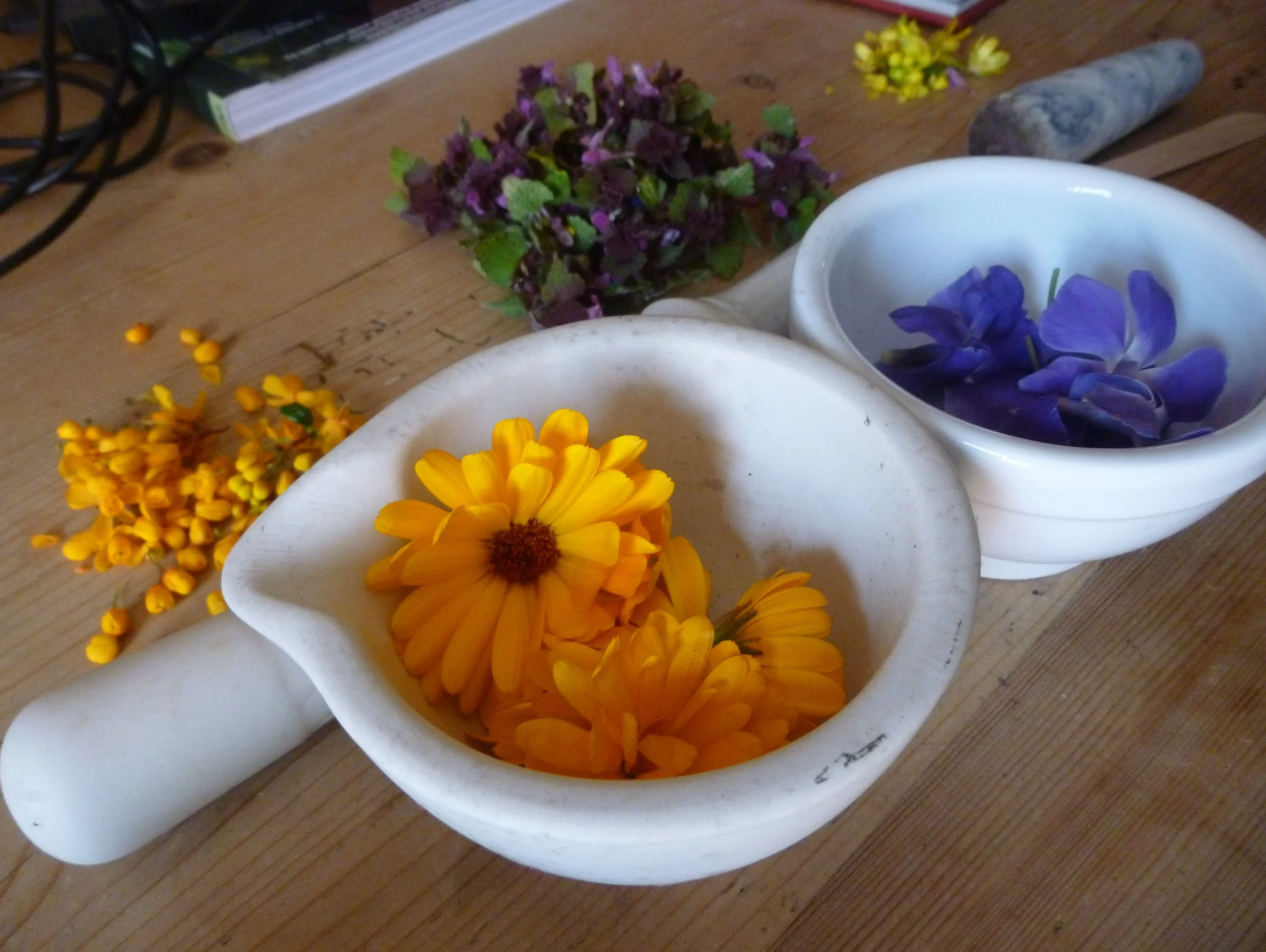 Various colourful flowers in white ceramic mortar bowls with pestles on a wooden table, including yellow, purple, and some small blue flowers. Calendula, marigold, clover
