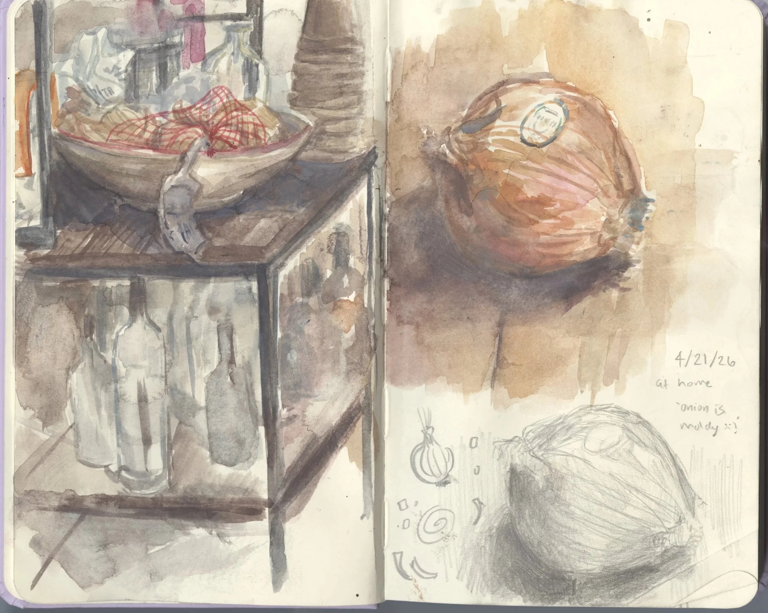 moldyonion+sketchbook.jpg