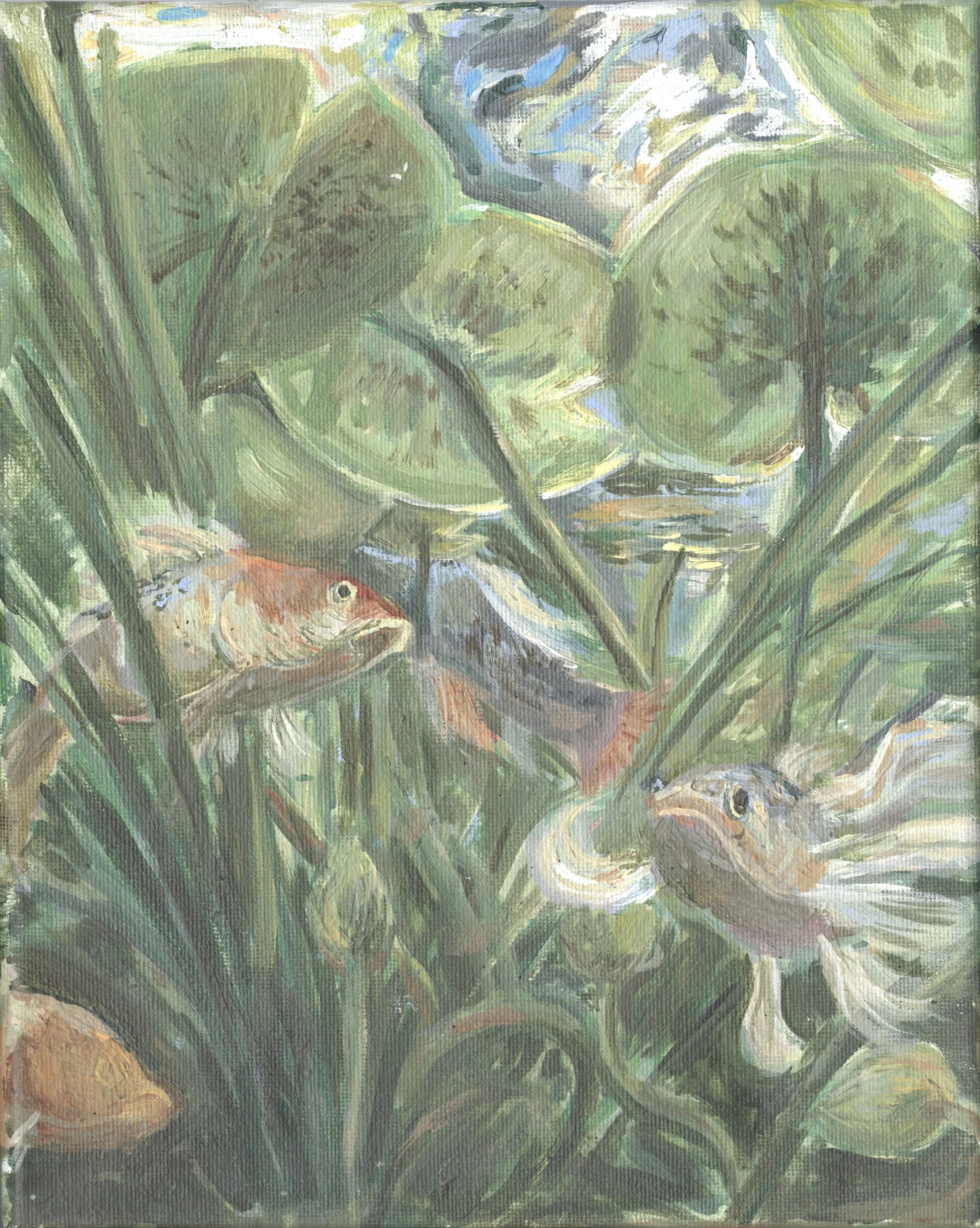 fish+lilypads.jpg