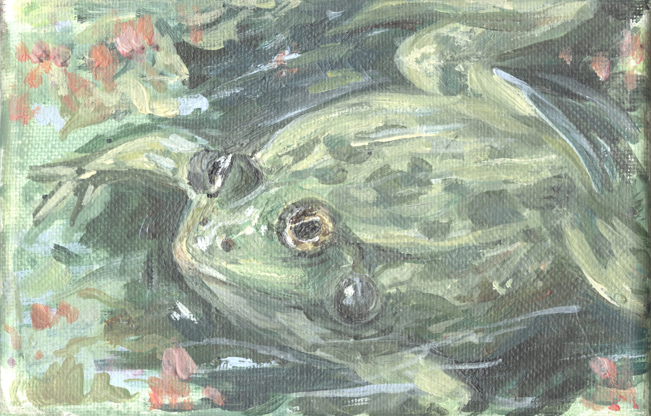 frog llypad.jpg