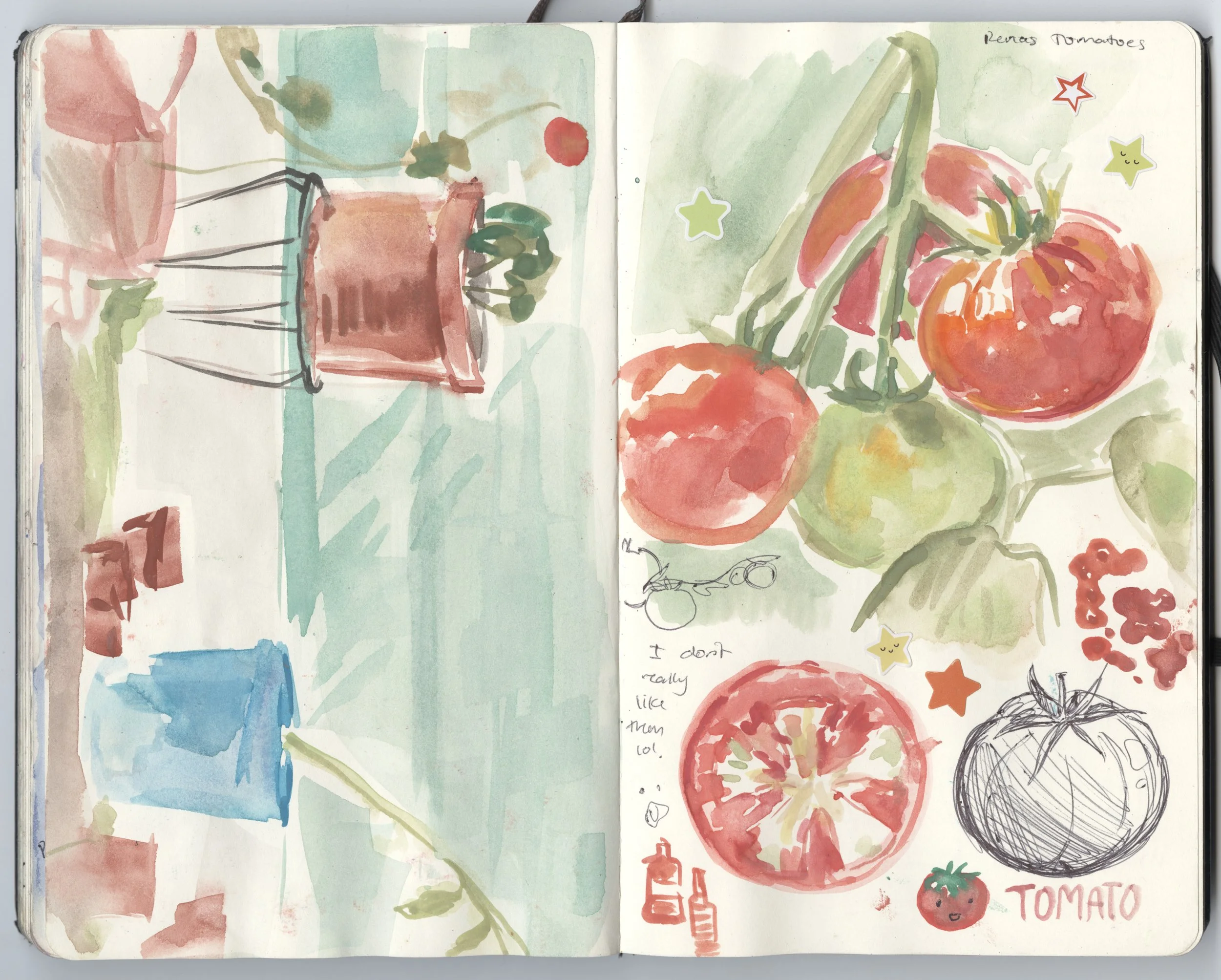 tomto sketchbook.jpg