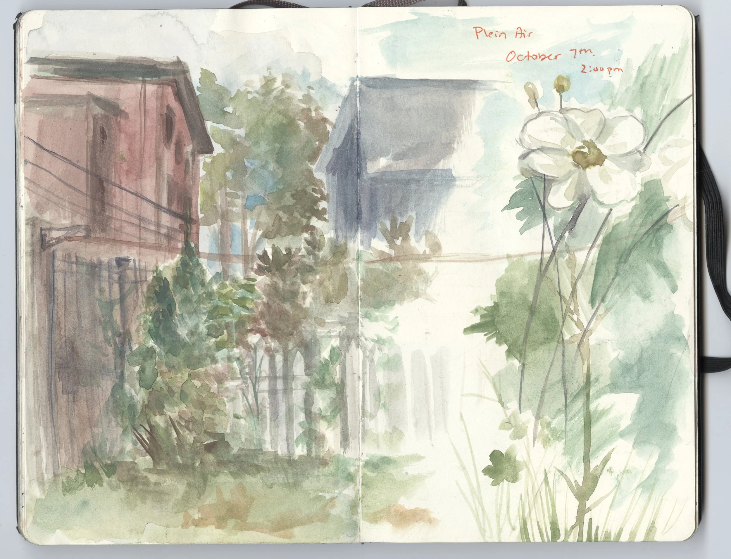 Backyard sketchbook.jpg