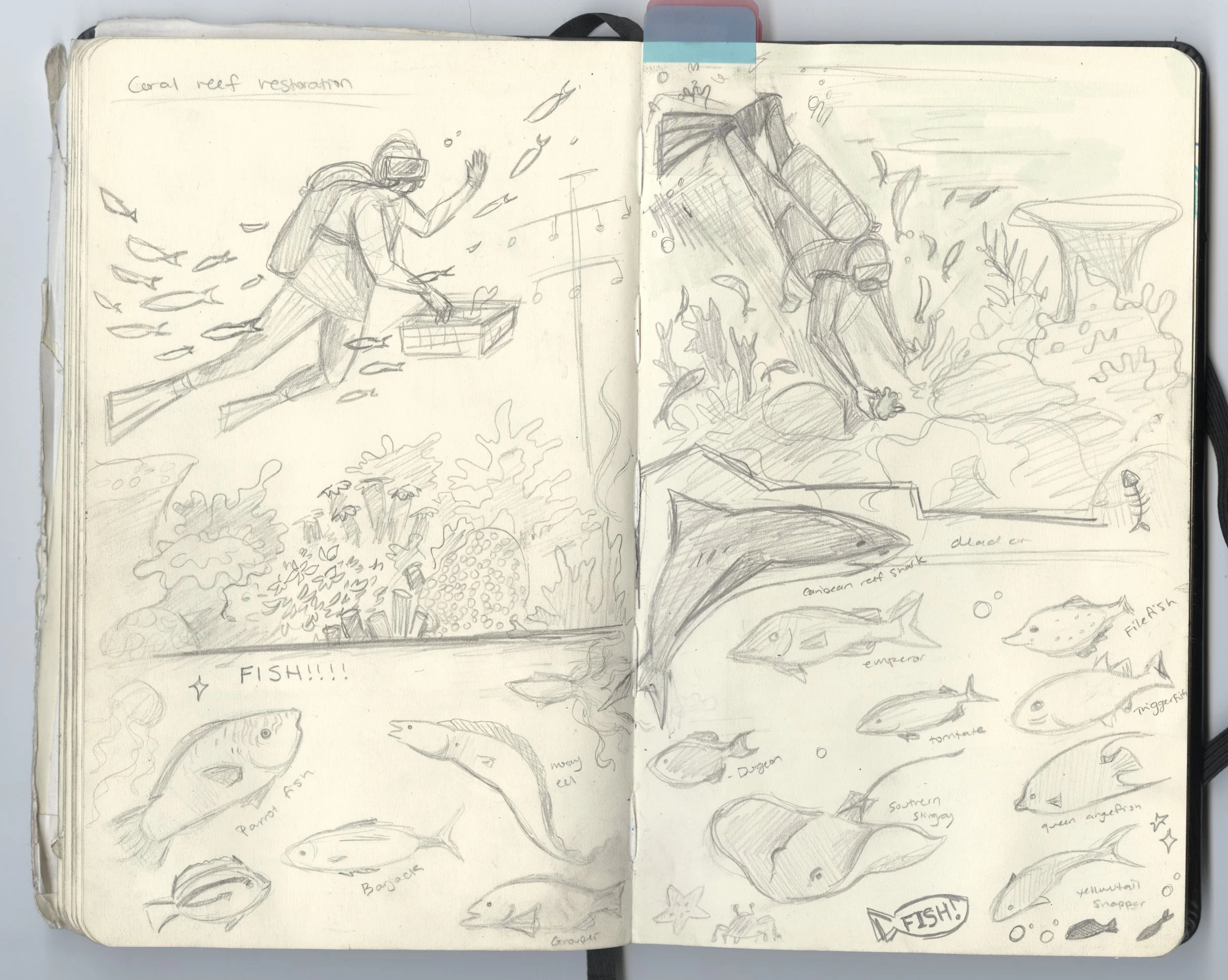 fish sketchbook.jpg