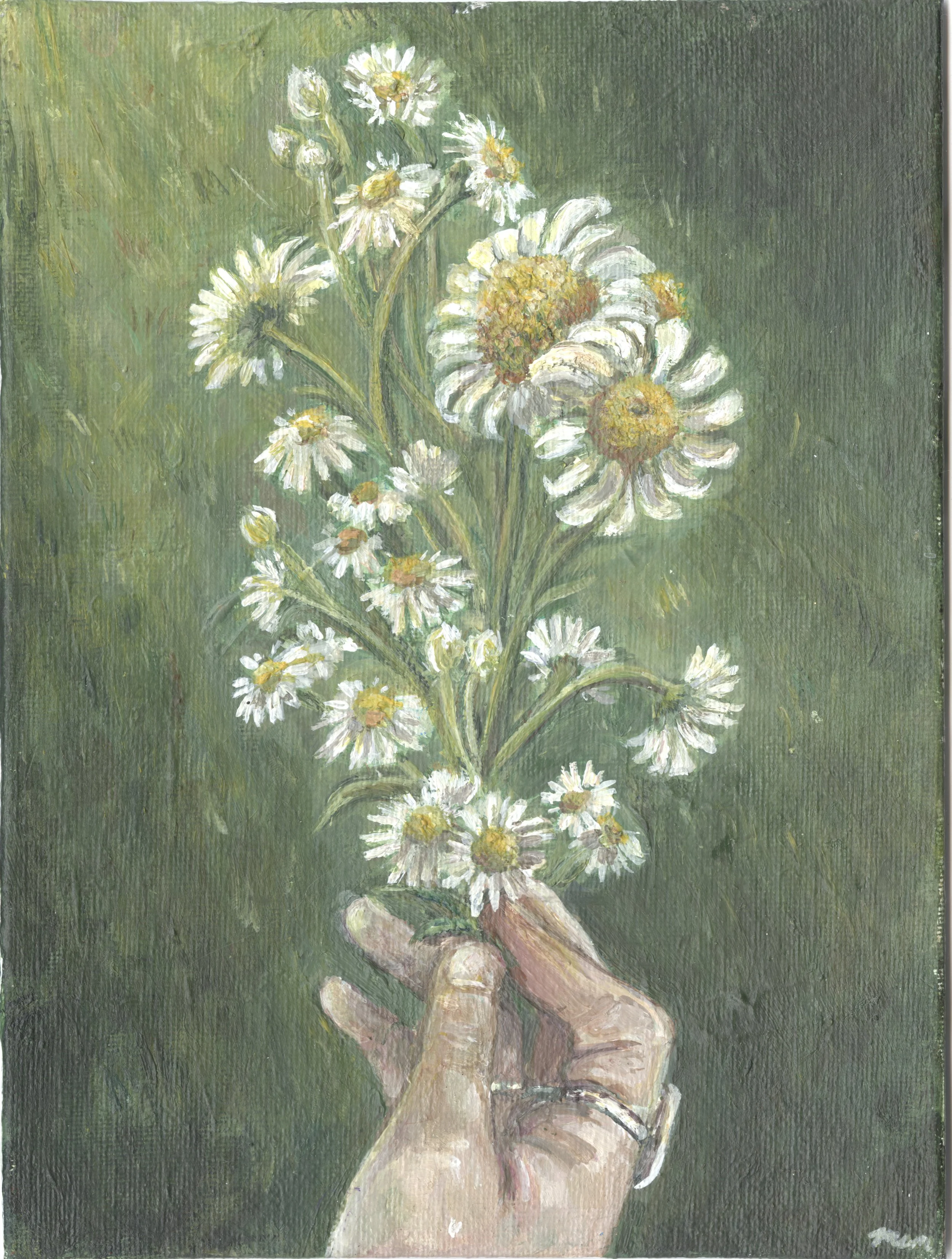 daisy bloom.jpg