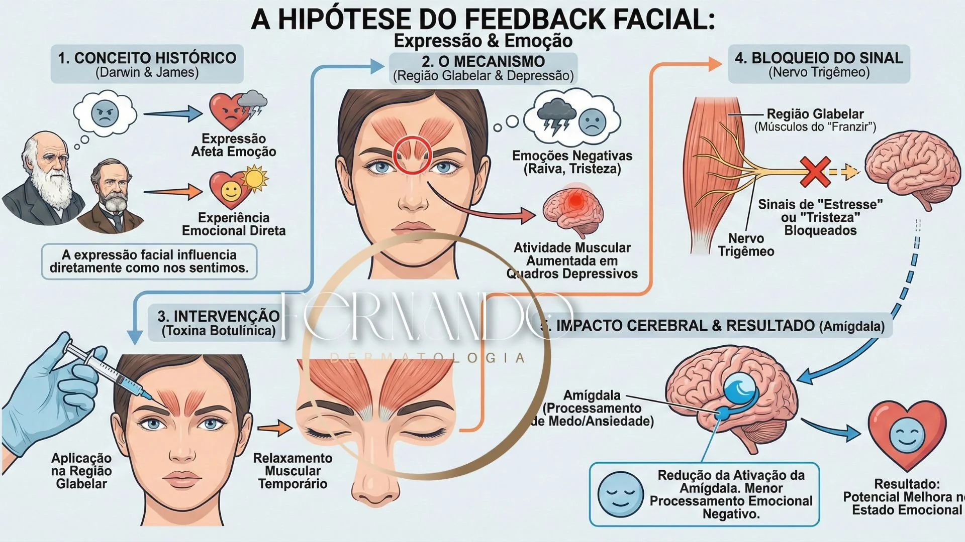 A hipótese do Feedback facial: expressão e emoção. - por Dr Fernando Henrique C. Alves, dermatologista São Paulo-SP.