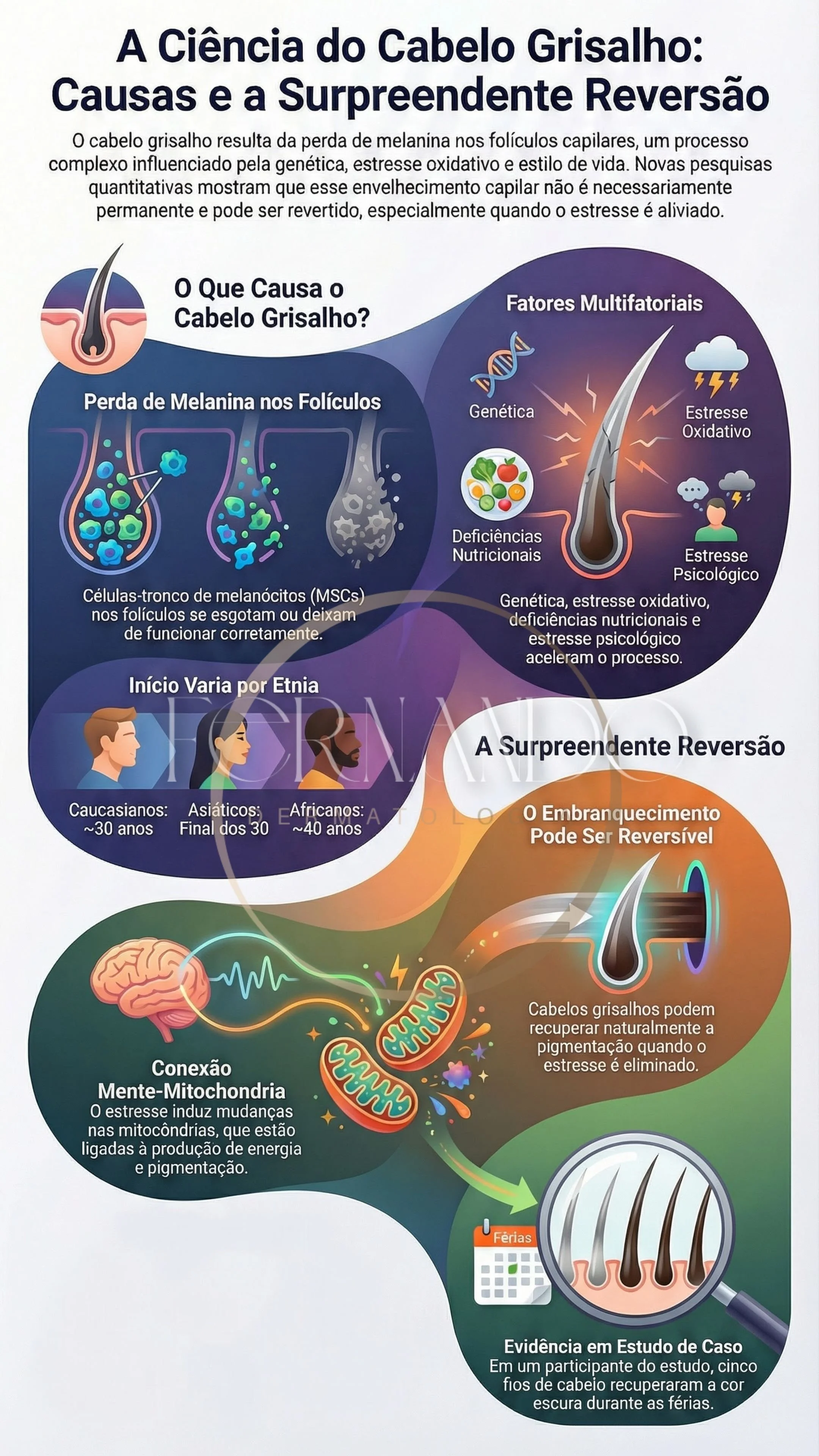 Infografico Dr Fernando H C Alves Sobre Cabelos Grisalhos