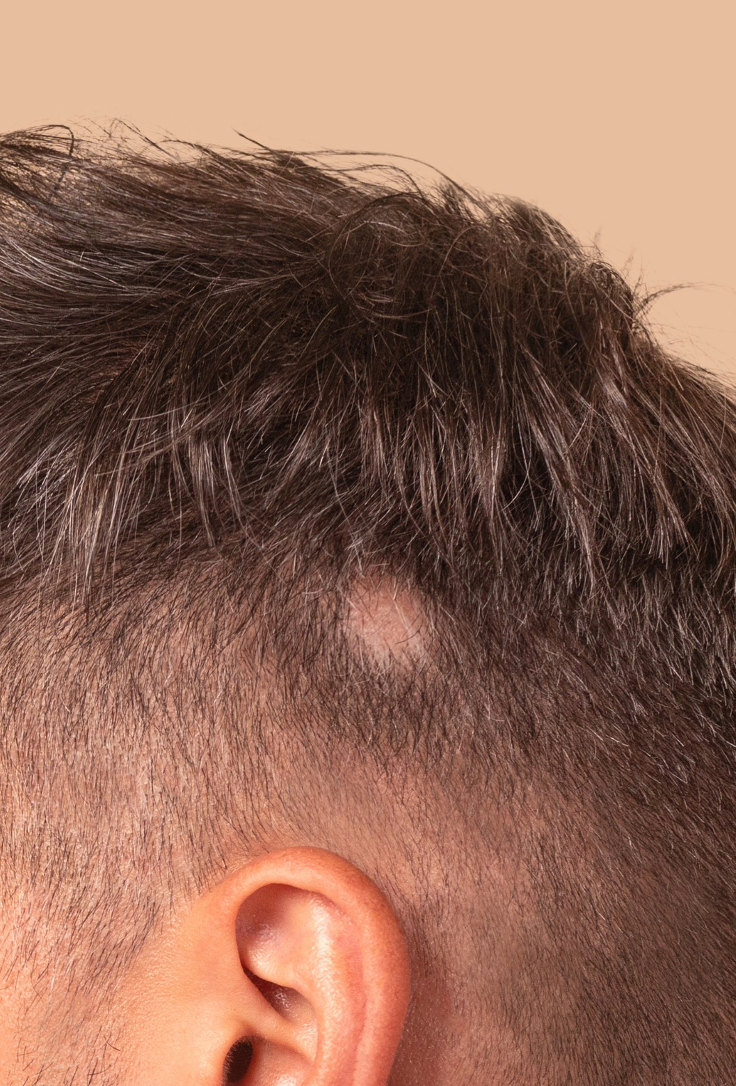 Close-up de cabelo castanho com corte moderno, mostrando a parte superior com textura e volume, e parte lateral com fading próximo à orelha.