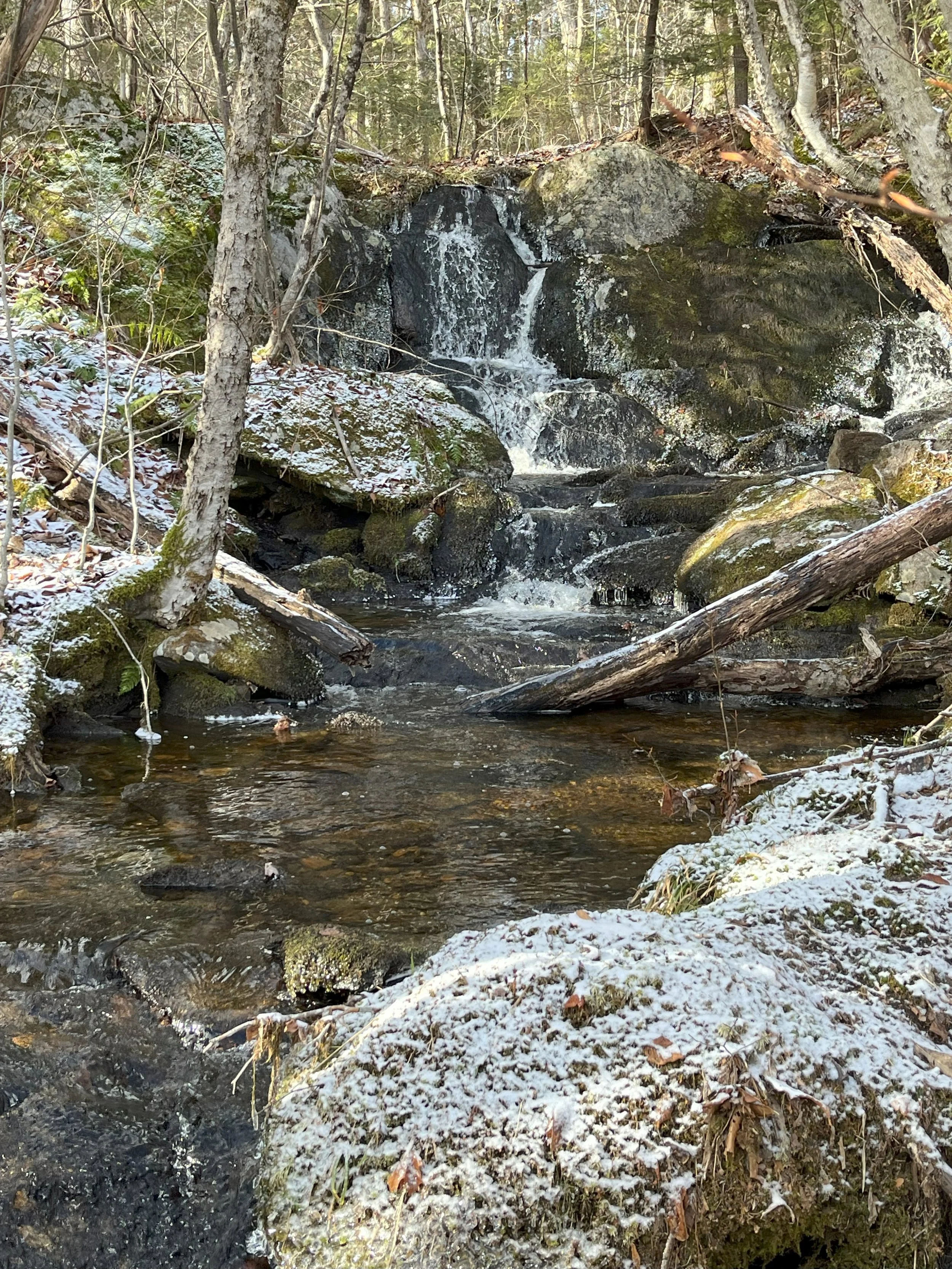 A small waterfall flows over rocks in a forest scene with some snow on the ground and rocks, surrounded by trees.