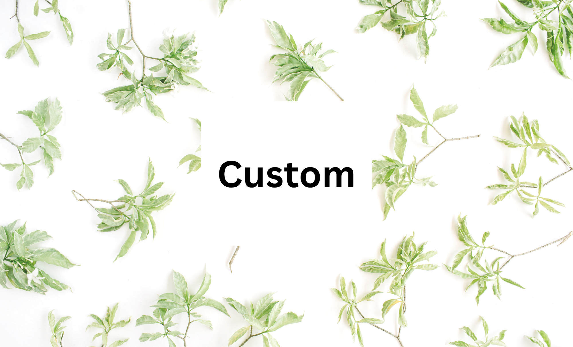 s&s customs.png