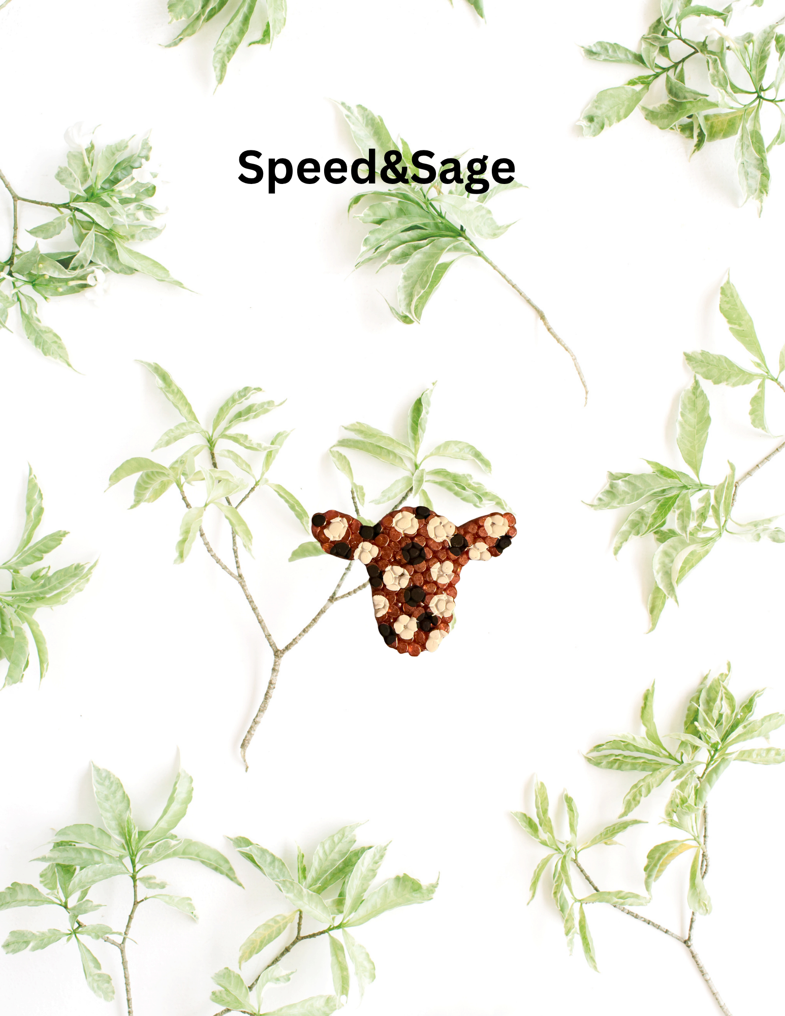 🌵 Desert Daze Collection (Western)