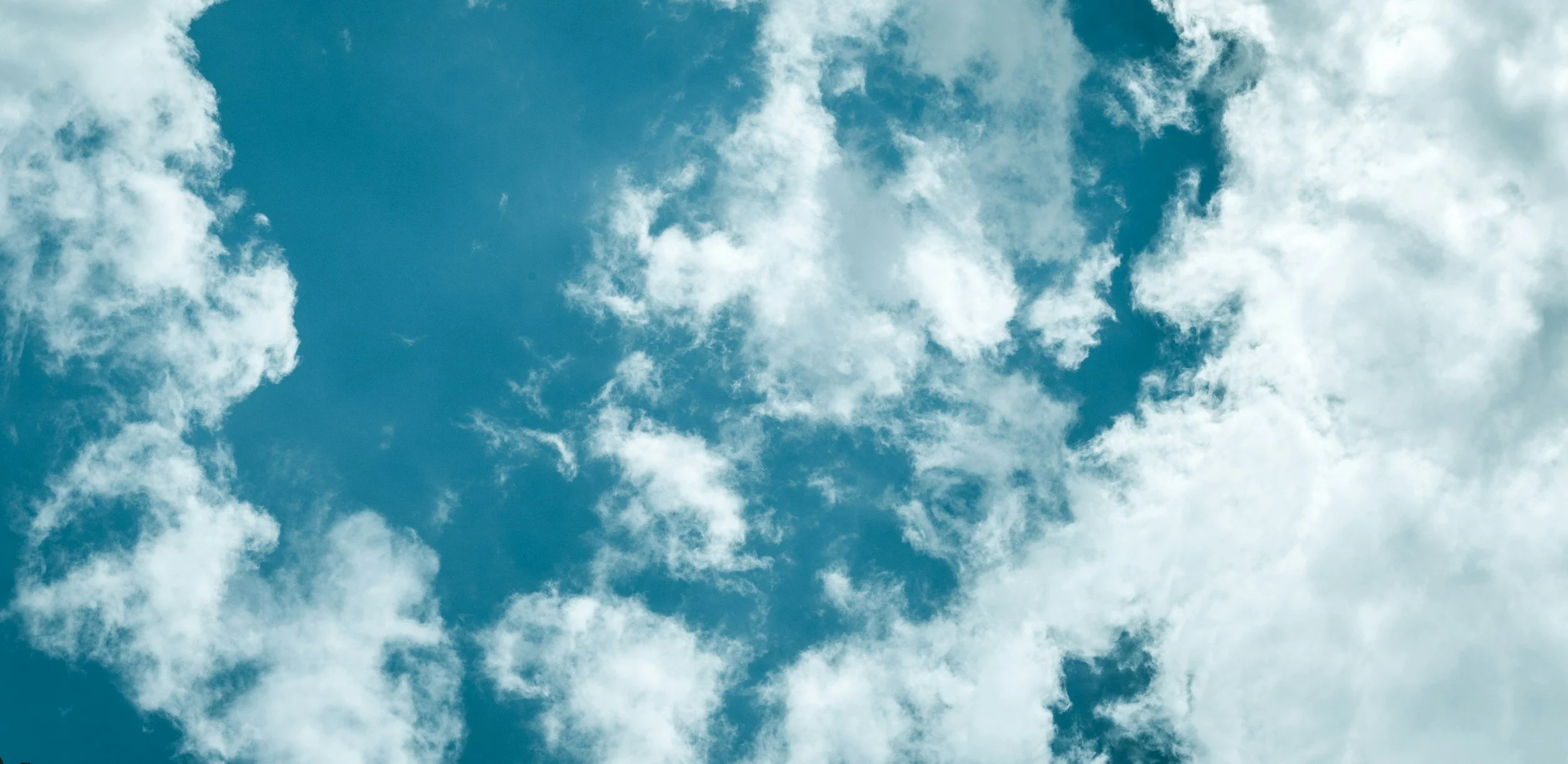looking up at the clouds