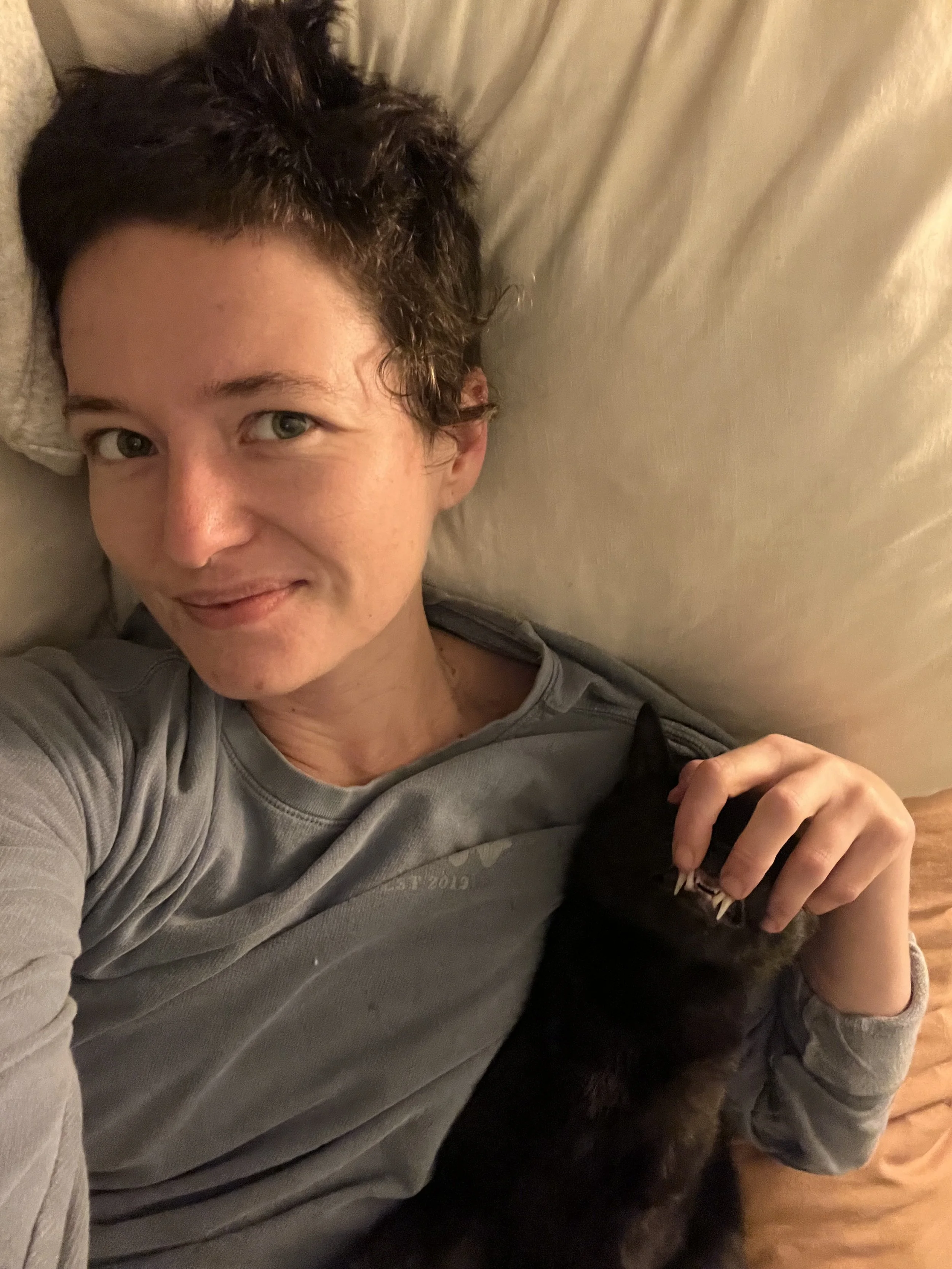 Homehand Petcare.