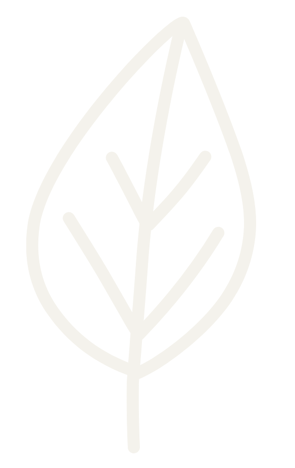 Outline of a leaf with veins