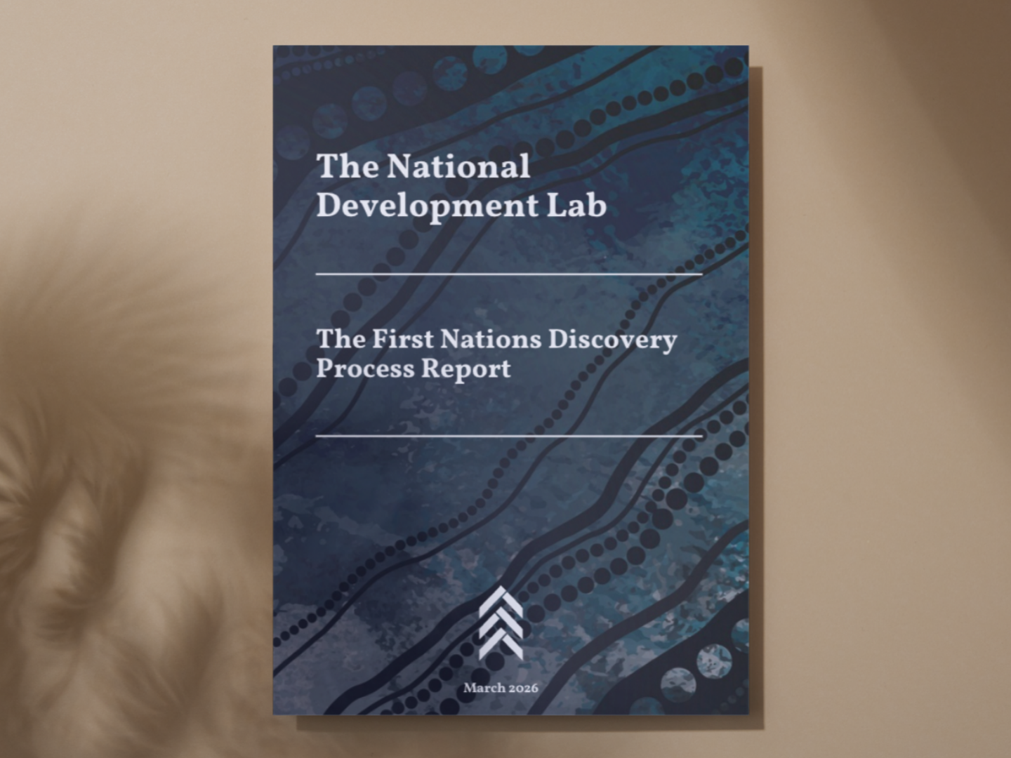 The Lab | First Nations Discovery Process Report