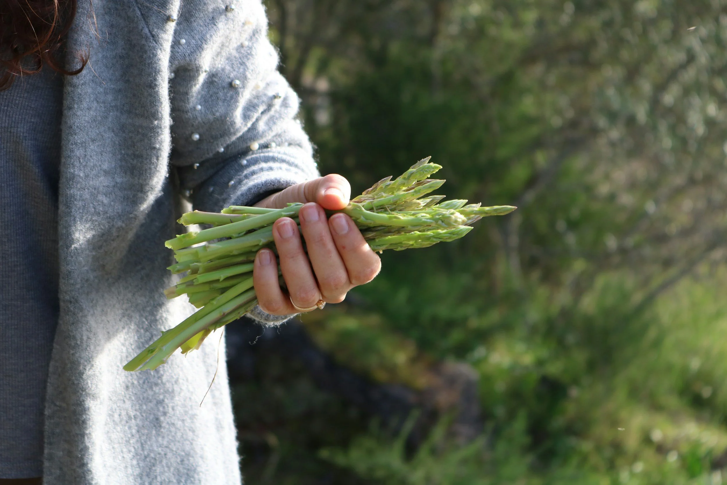 a woman standing in a garden, holding a hand full of fresh asparagus. She is wearing a gray sweater, and you cannot see her face.