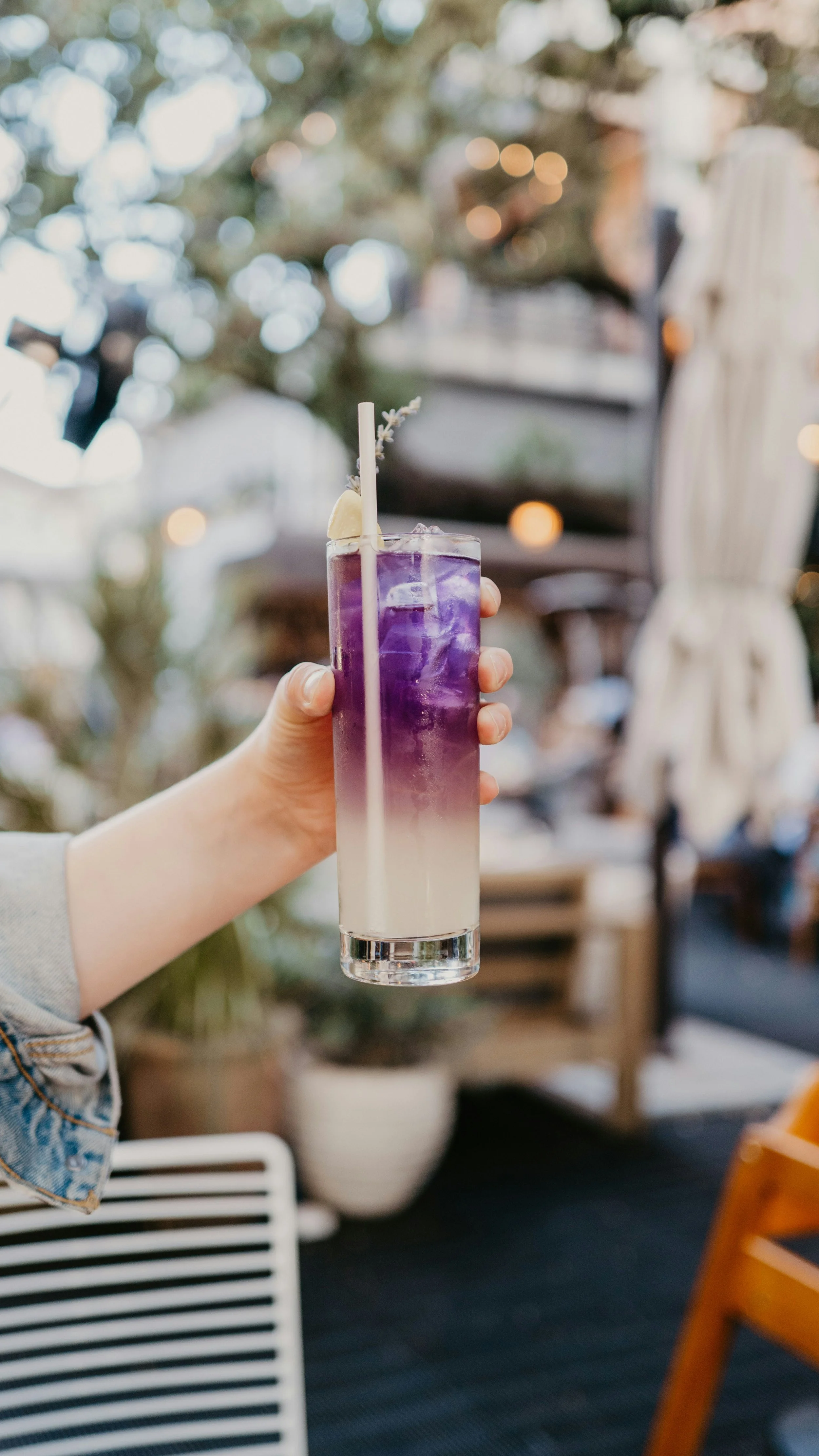 This Garden-Fresh Lavender Blueberry Lemonade Tastes Like Summer in a Glass
