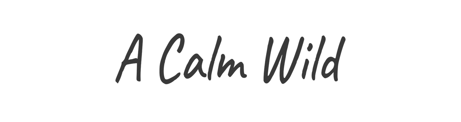 A Calm Wild