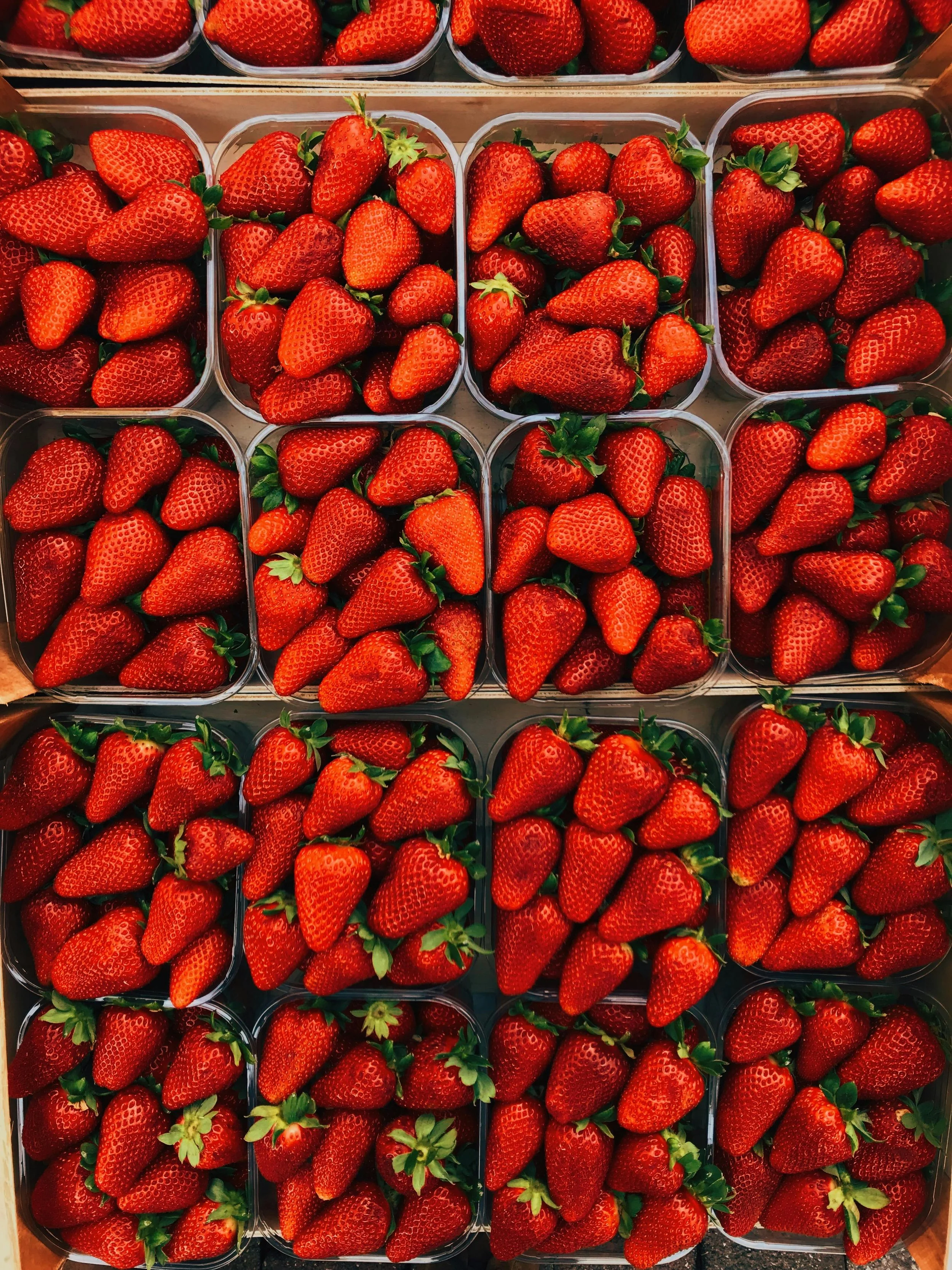 bins of fresh strawberries lined in rows