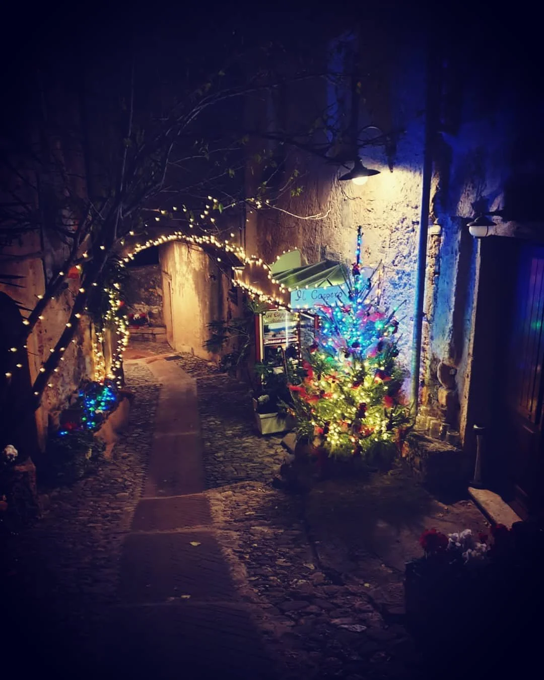 🎄 it's beginning to look a lot like christmas 🎄
.
.
.
#xmas #christmas #merryxmas #merrychristmas #xmastime #christmastime #luci #lights #xmaslights #christmastree #christmasdecor #christmasiscoming #natale #buonefeste #buonnatale #ilcapperoristora