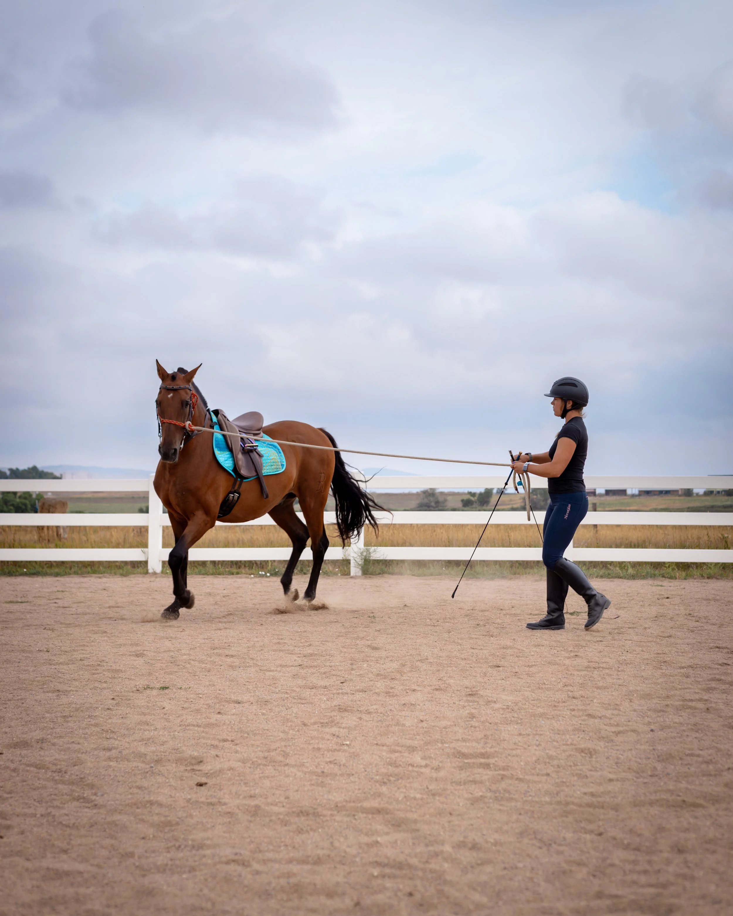 Lunging Clinic
