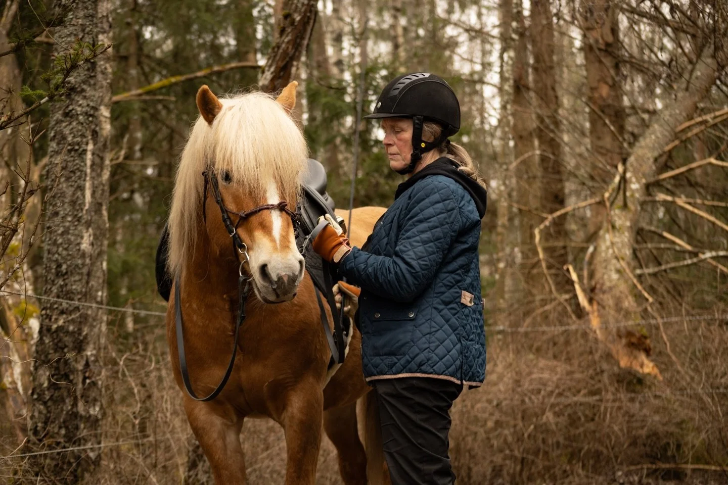 Kicking off our first day in Sweden with lessons at @classicalriding with her two boys, Alfons and Alex 🤍

We worked through in-hand, lunging, lining up to the mounting block and of course, our favorite&hellip; seatwork 🙌🏼

Just the beginning of w