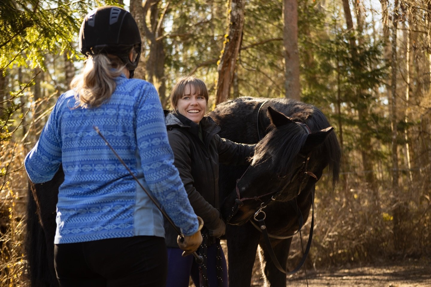 Day 2 in Sweden with @classicalriding 🤗

Our first couple days here have been so relaxed and fun. This weekend we kick things off with our first clinics and lectures. Today has been filled with sunshine, good weather, and even better company ✨

#cla