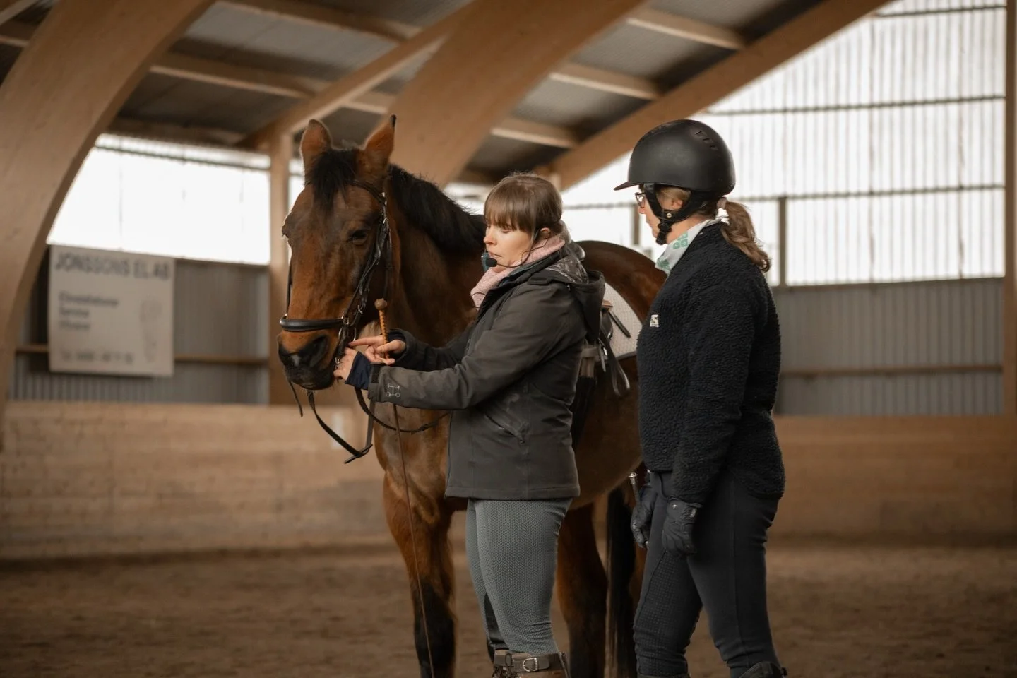 We are so excited to share more from our clinics in Sweden ✨

Over the span of two weeks, our team traveled across the country to host three different clinics for riders of all experience levels and disciplines.

We worked with everyone from beginner