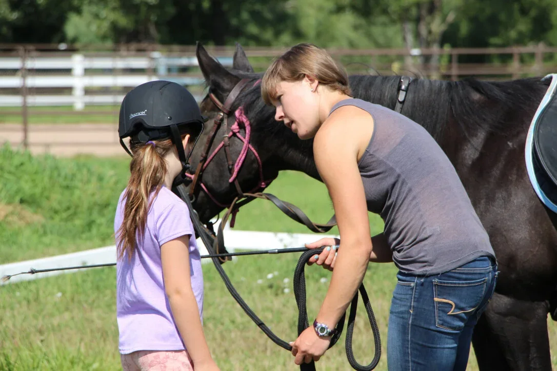 beginner and kid friendly horse training lessons in fort collins and norther colorado area.