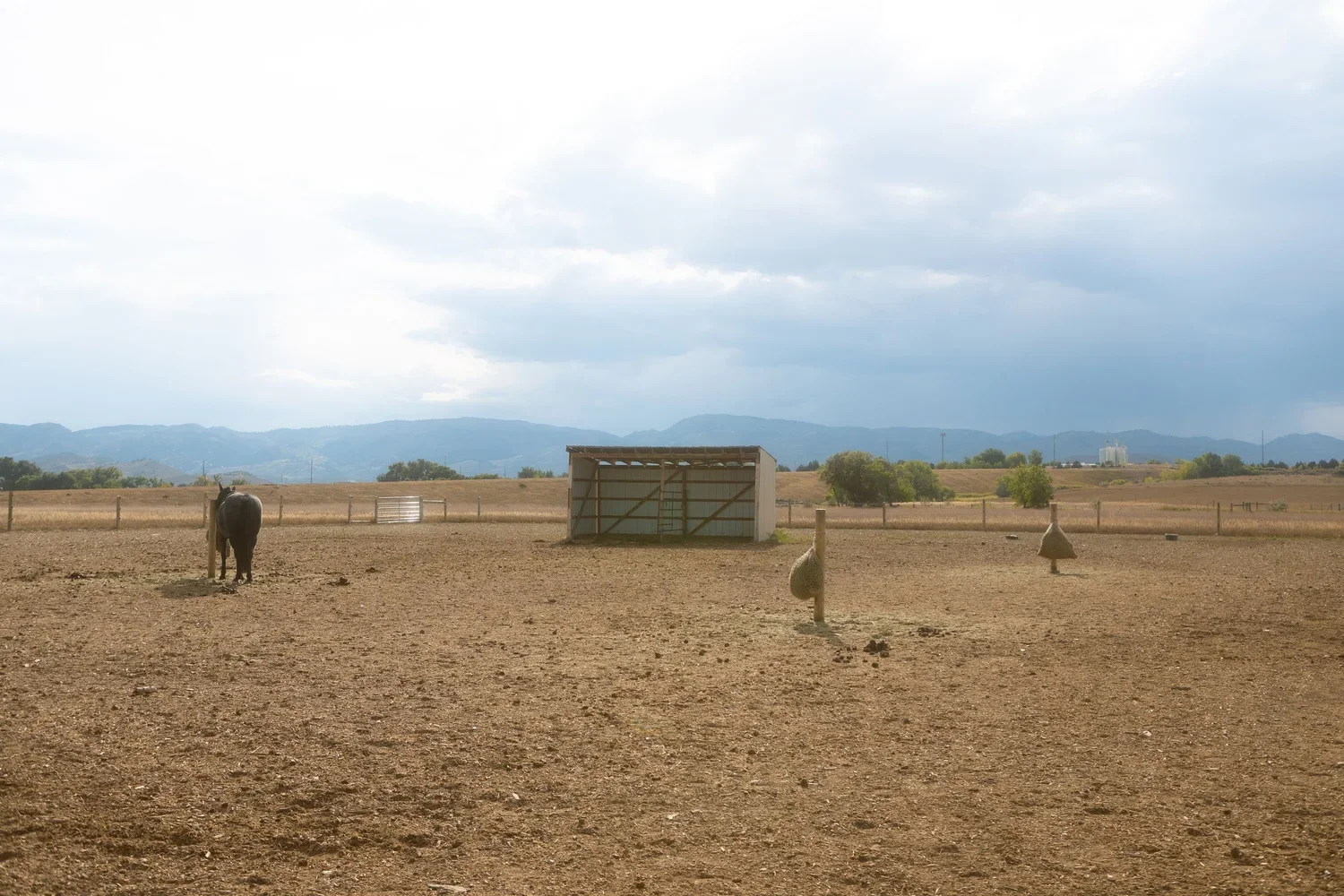 A rural farm scene with a black cow standing on dirt ground, a small shed, and a landscape of trees, rolling hills, and mountains under a cloudy sky.