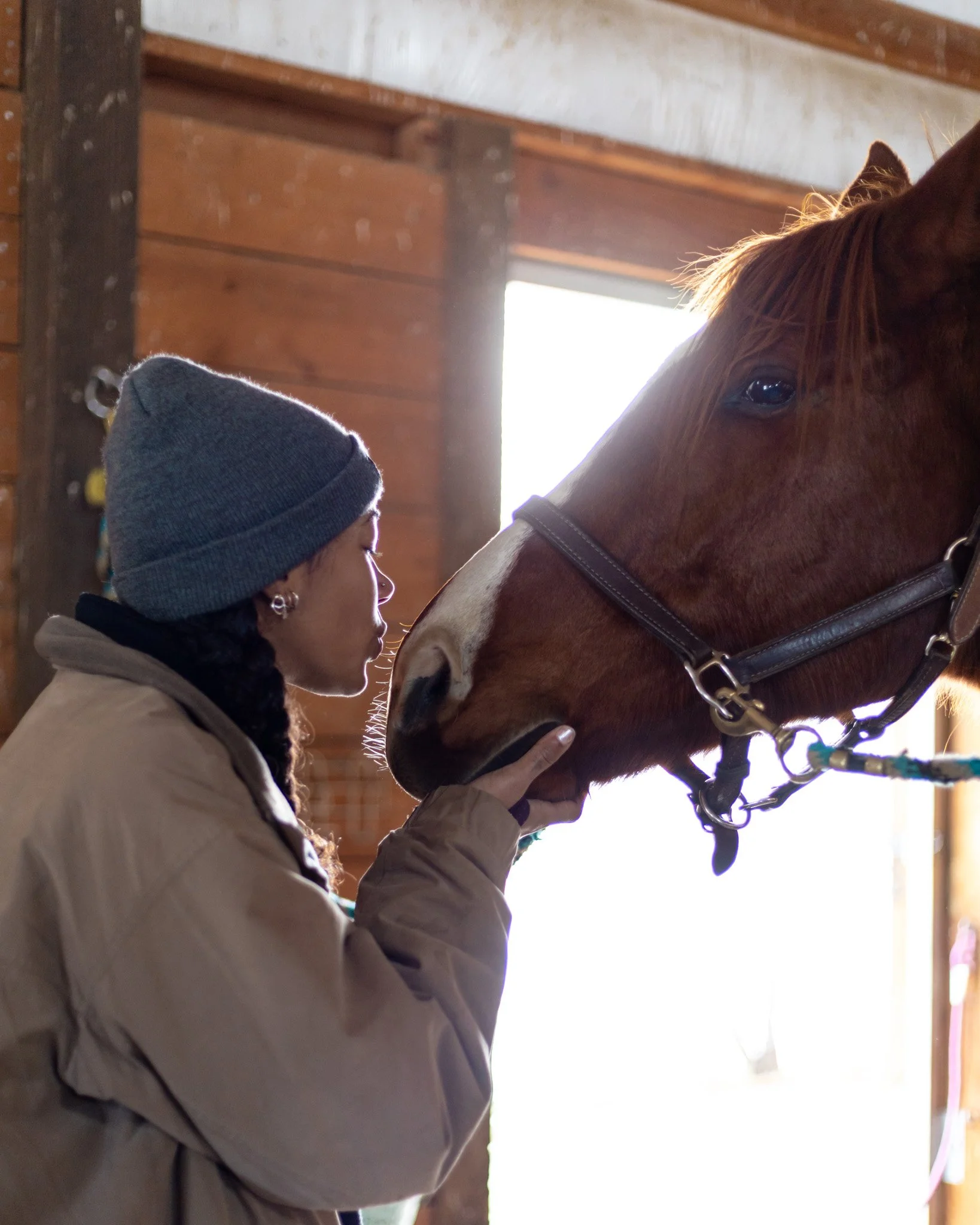 A woman wearing a gray beanie and a tan coat gently touching the muzzle of a brown horse inside a wooden horse stable with sunlight streaming in from the open door.